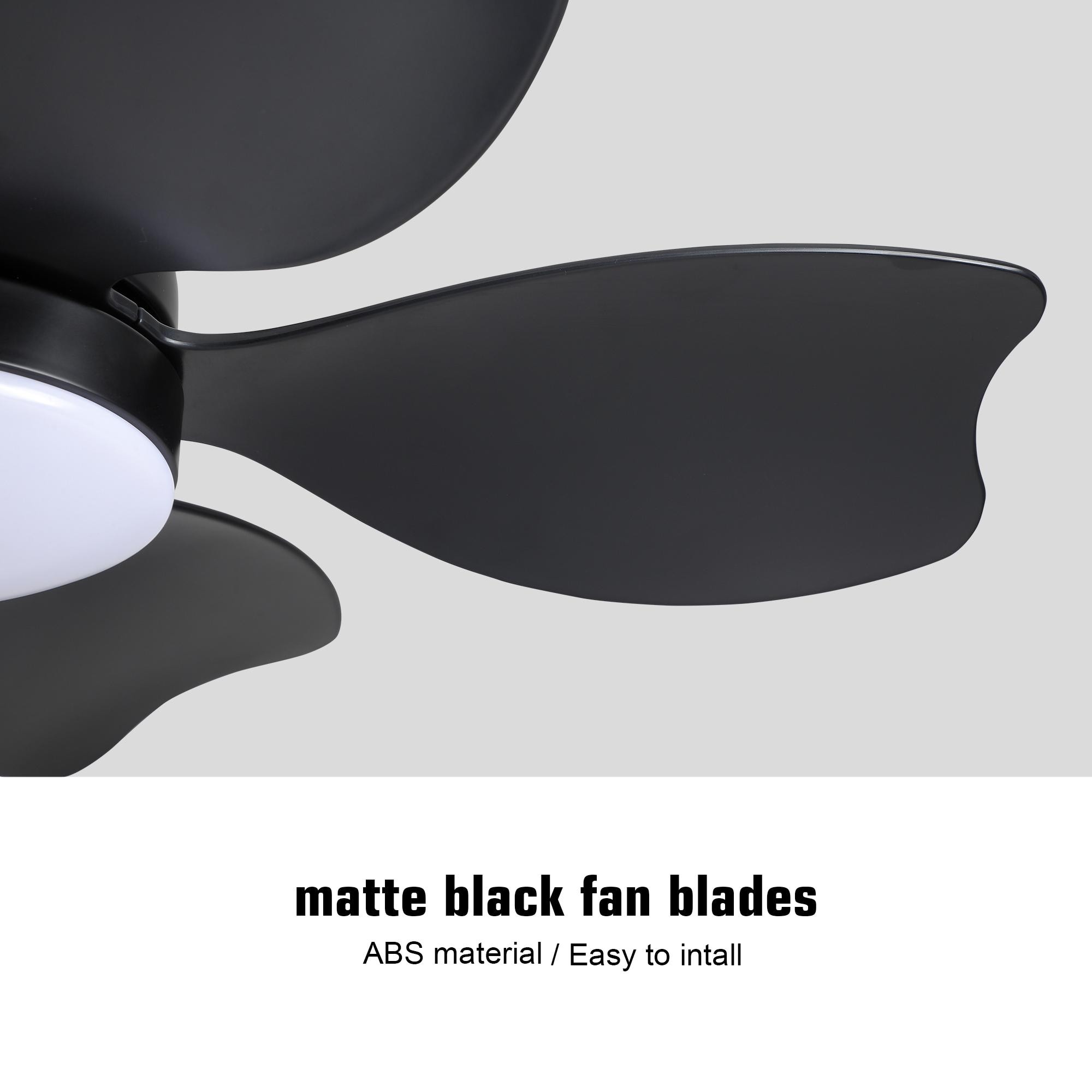Bayfeve BFYH-3342-CF Ceiling-Fans - View #13
