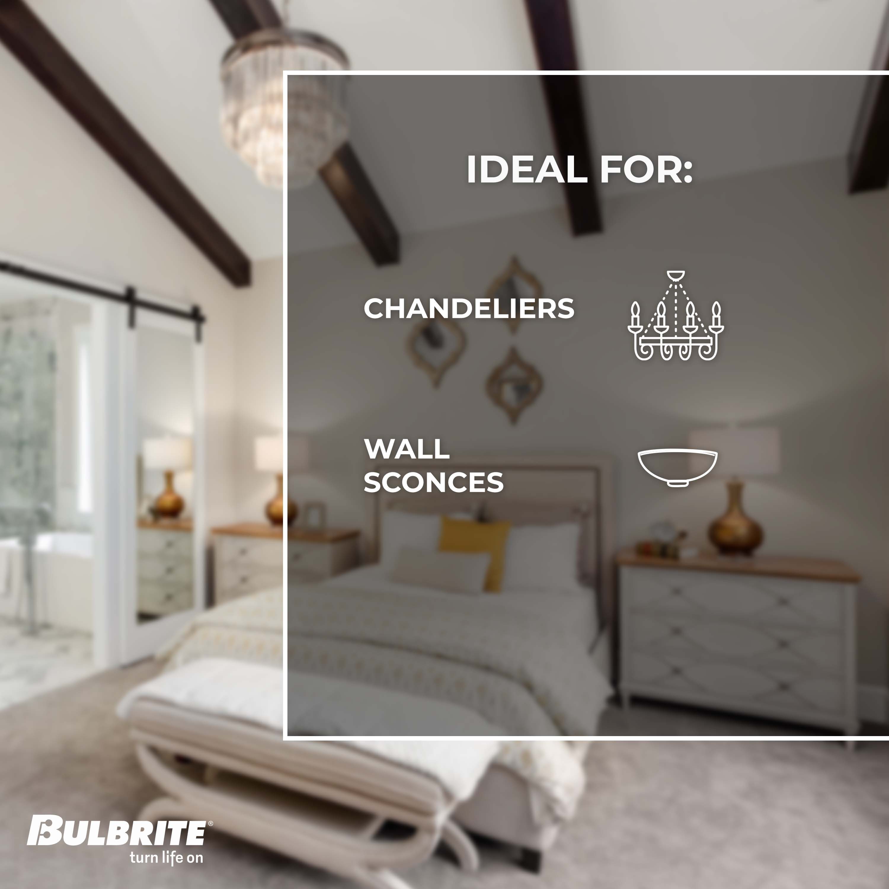 Bulbrite 862781 Dec-Led-Light-Bulbs - View #5