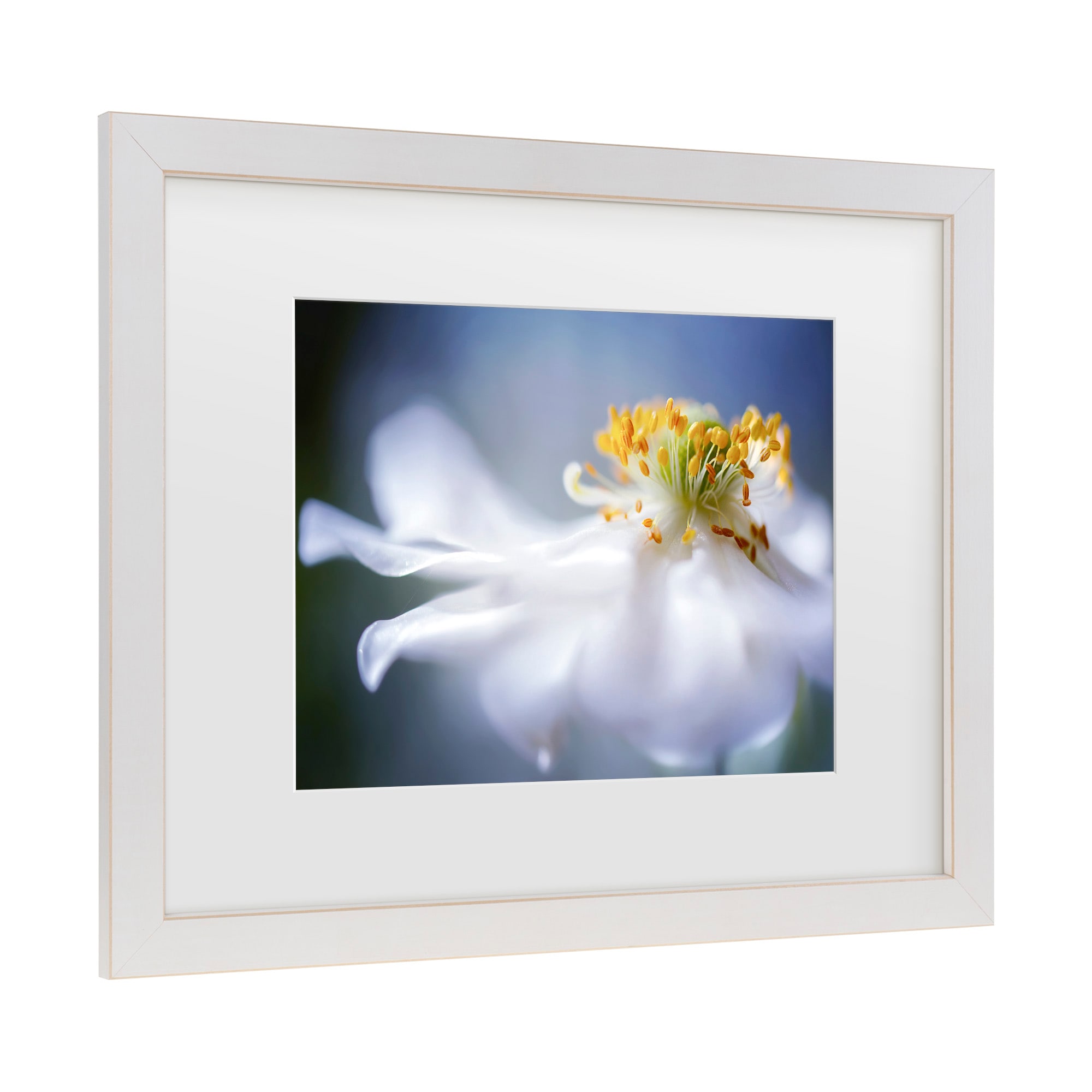 White Framed Floral Canvas Print for Nursery and Kids Room
