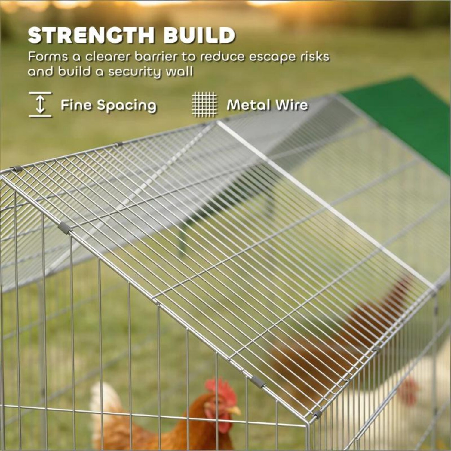 Mondawe MO-HE52083 Chicken-Coops-Rabbit-Hutches - View #3