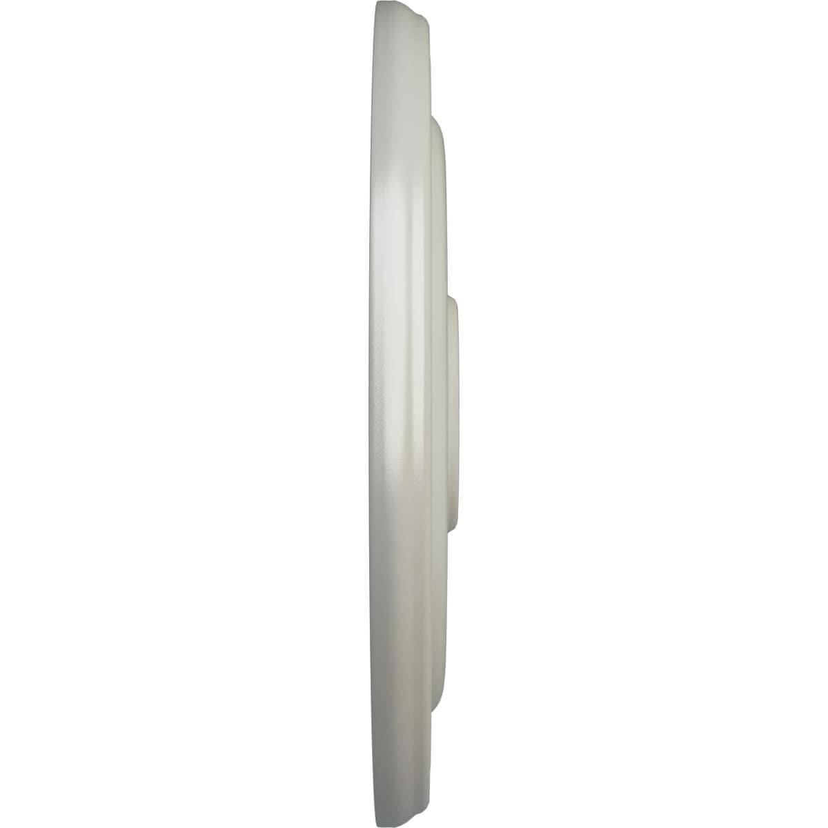 Ekena Millwork CM16KPFBS Ceiling-Medallions - View #3