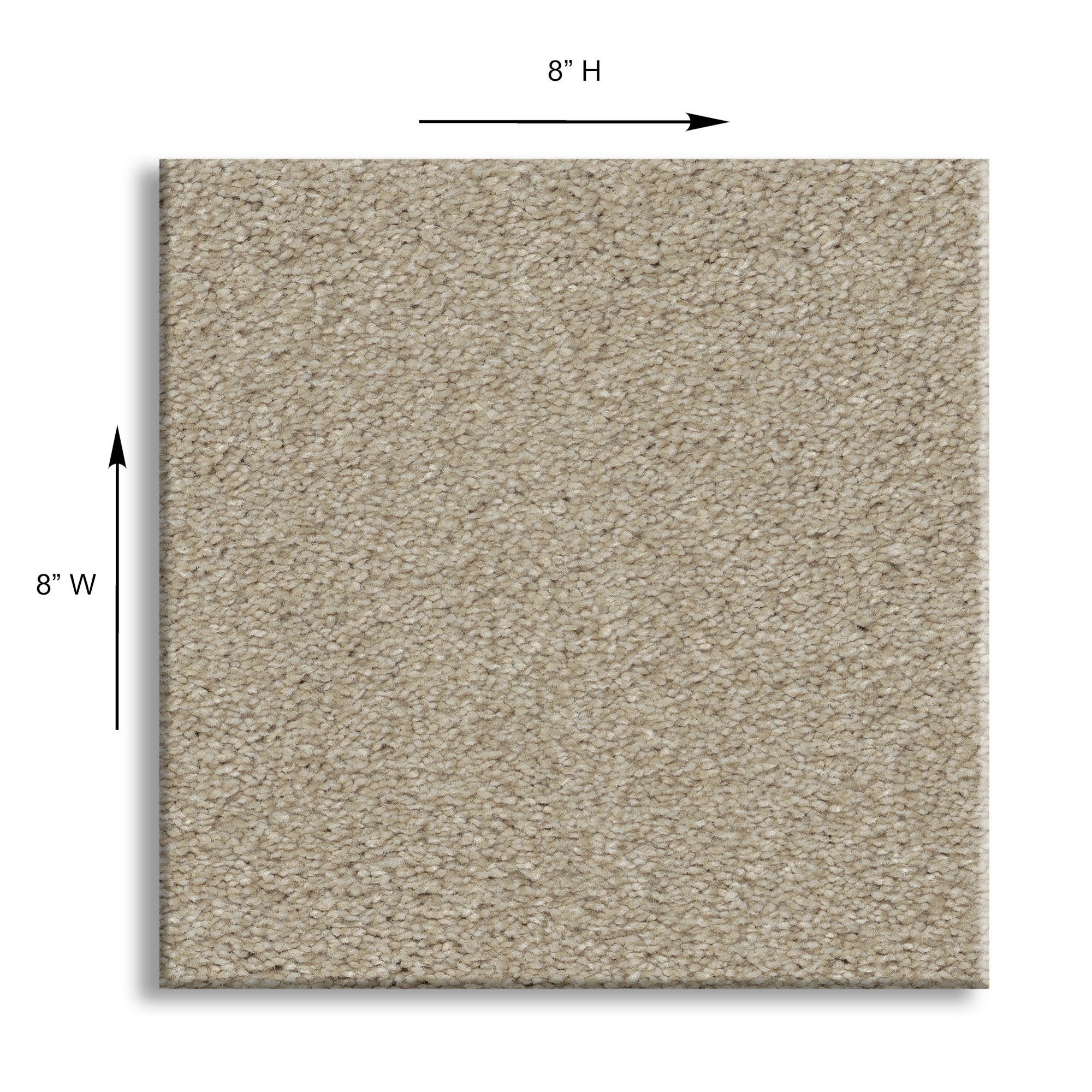STAINMASTER PetProtect 7L929-137-SAMP Carpet-Samples - View #11