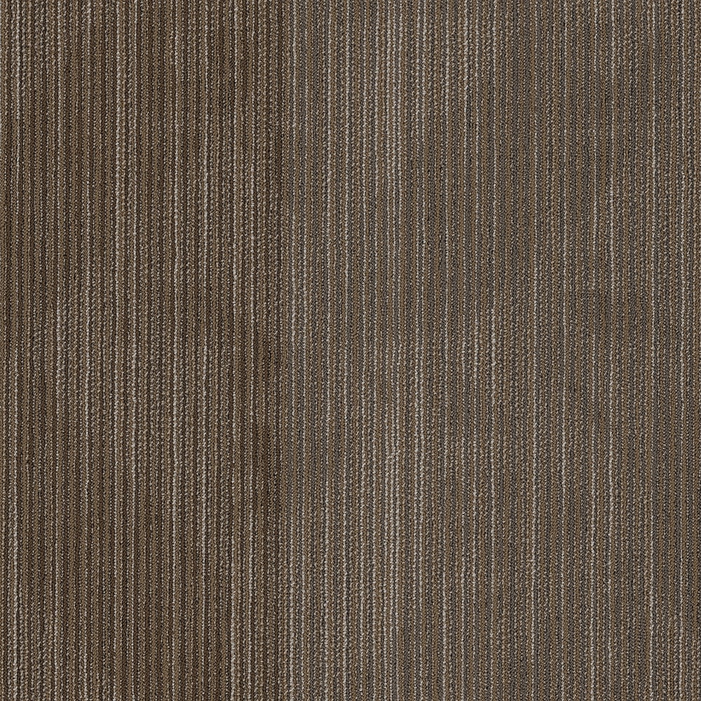Shaw 7L81400210 One Up 24-in x 24-in Newsfeed Brown Commercial Adhesive Indoor Carpet Tile ( 79.99-Sq. Feet )