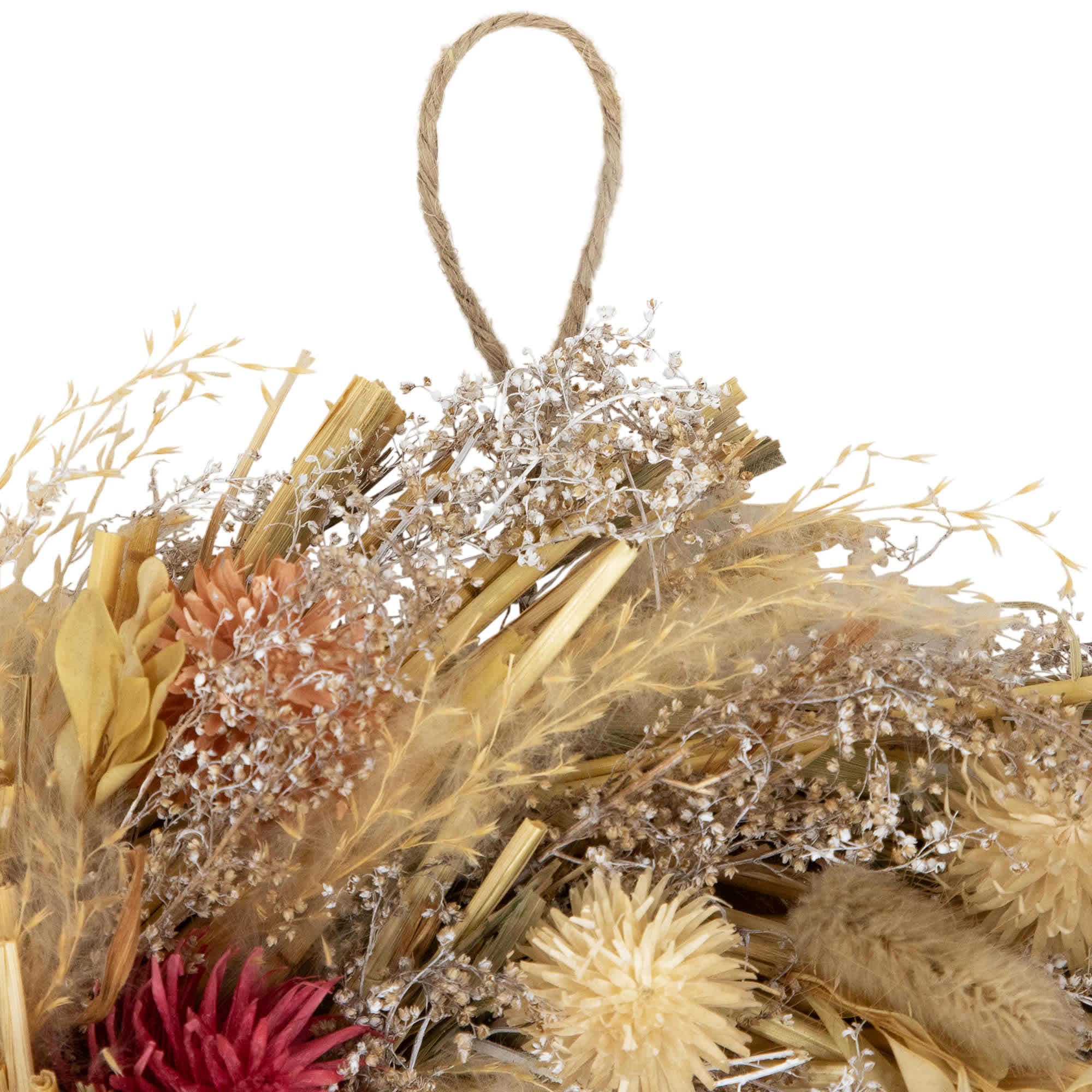 Northlight Pampas Grass and Dried Florals Small Fall Harvest Wreath ...
