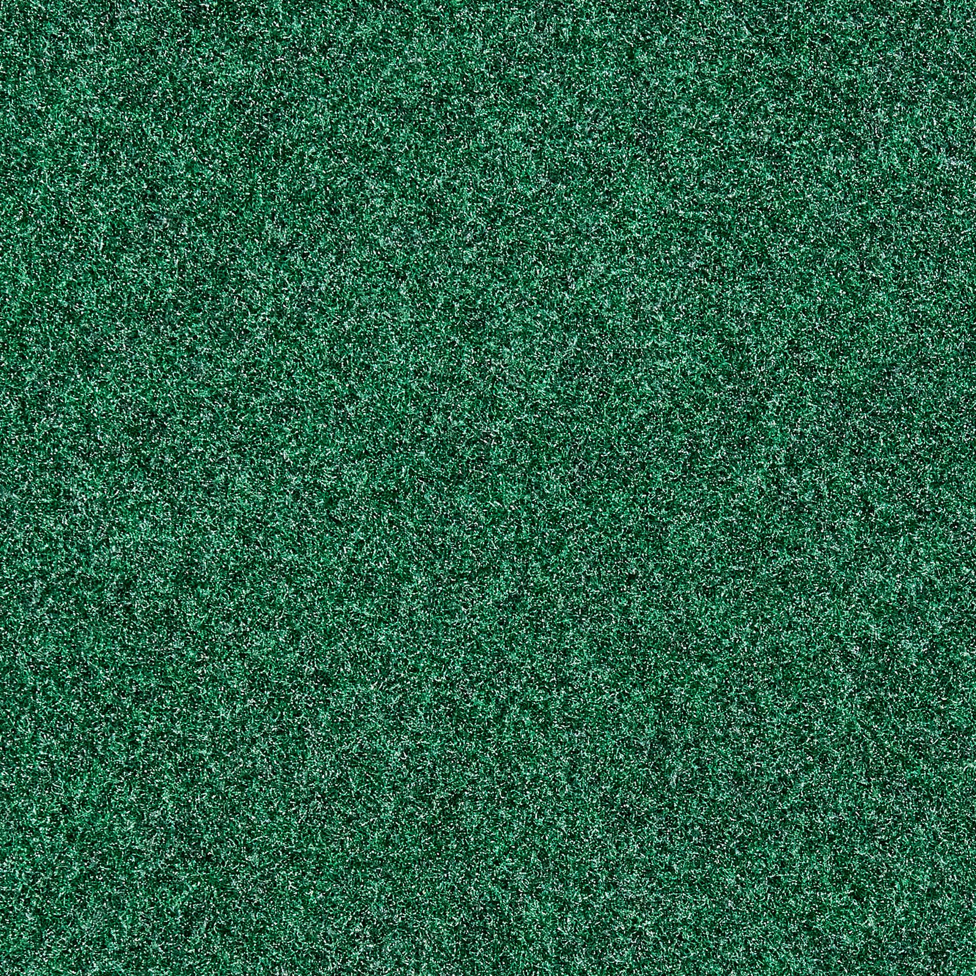 Project Source 6 X 8 (ft) Green Indoor/Outdoor Solid Area Rug in the Rugs  department at