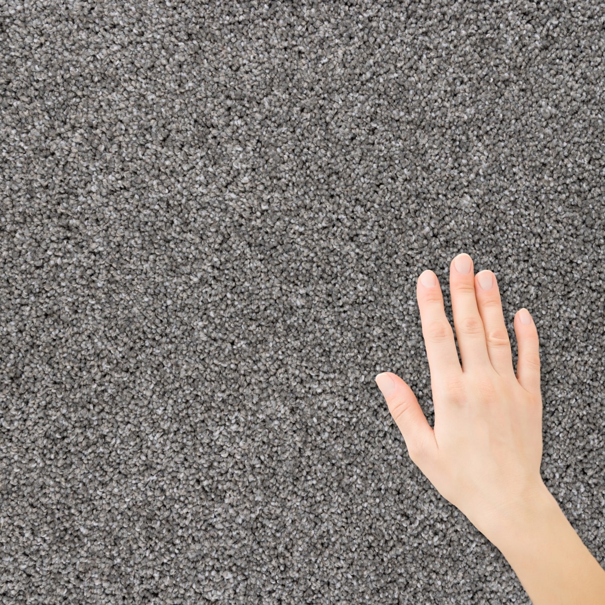 STAINMASTER S9960-20009-1200-MO Carpet-Panel - View #3