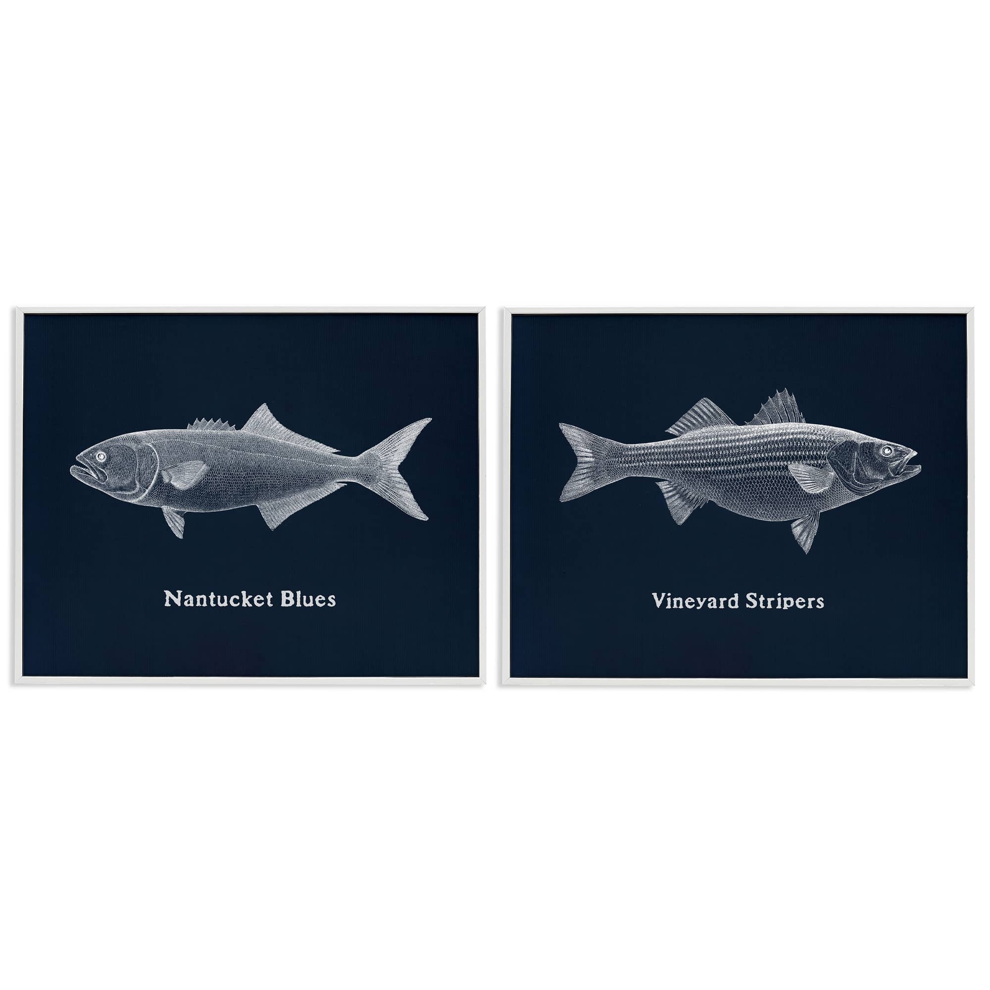 Stupell Industries B2-818-WFR-2PC-16X20 Harbor Fish Phrases 2 Piece White Framed Giclee Art Set By Phillipa Katz 20 x 16