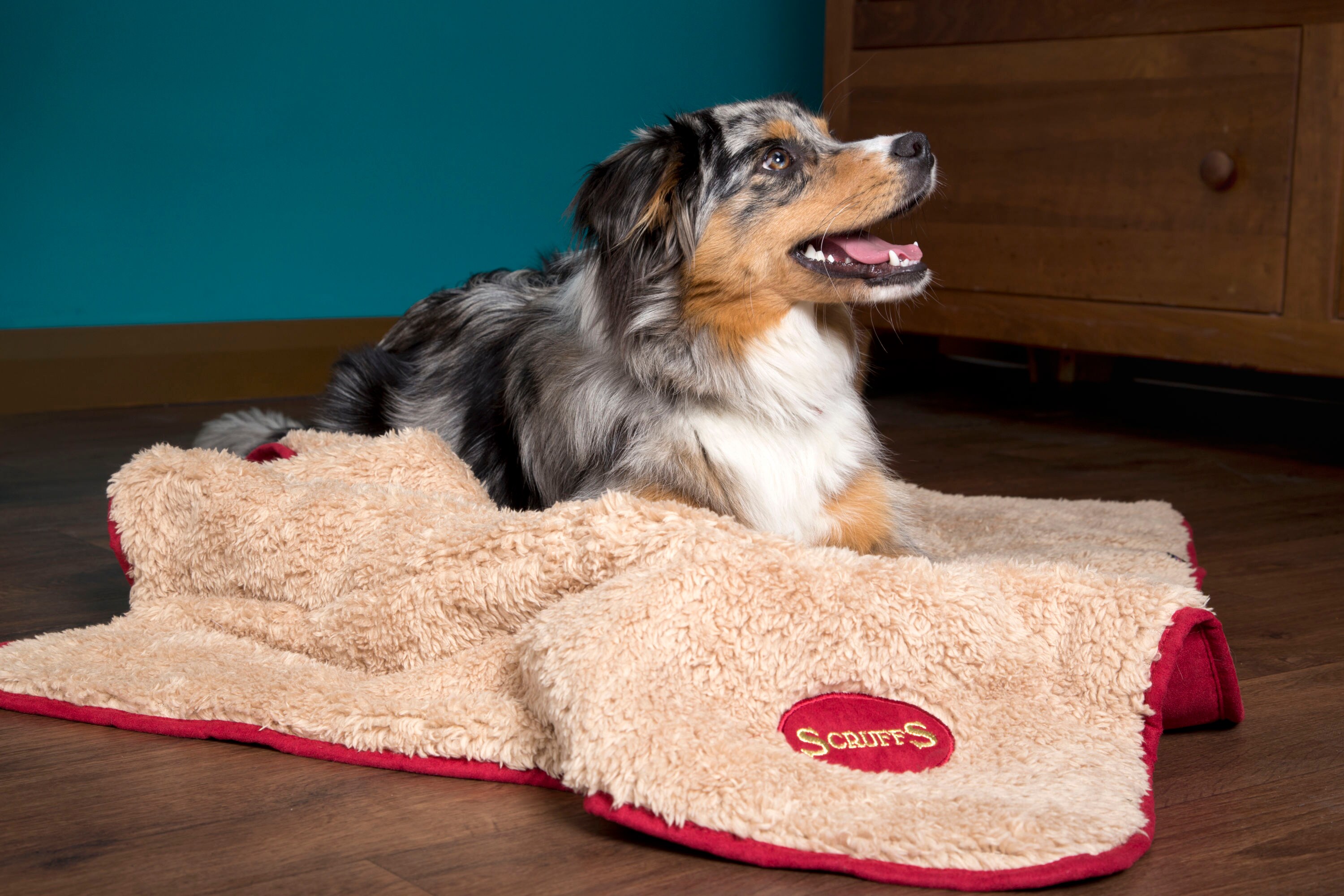 Scruffs BEDRCD938086 Pet-Beds - View #2