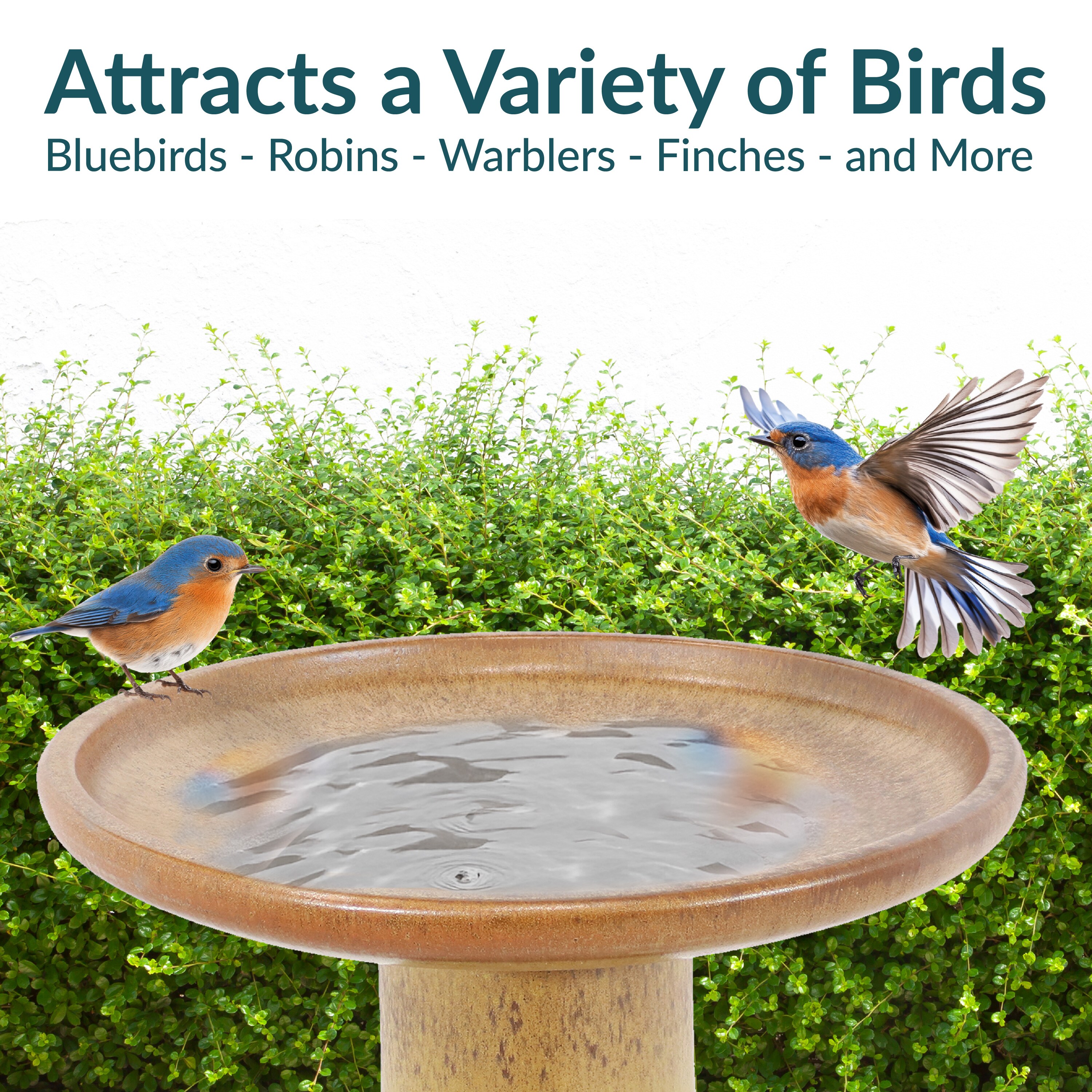 Sunnydaze Decor AP-500 birdbaths - View #8