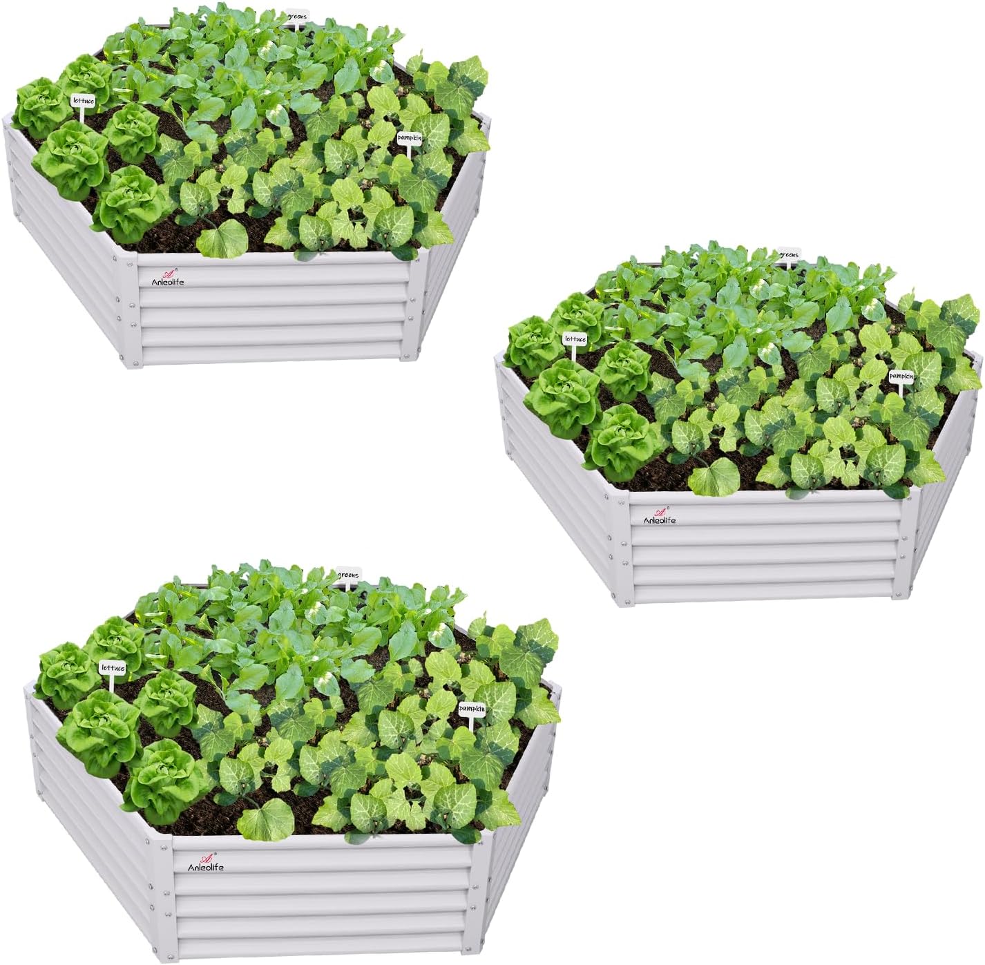 Zeus & Ruta 194-cu ft 60-in W x 70-in L x 18-in H Antique White Galvanized Metal Raised Garden Bed