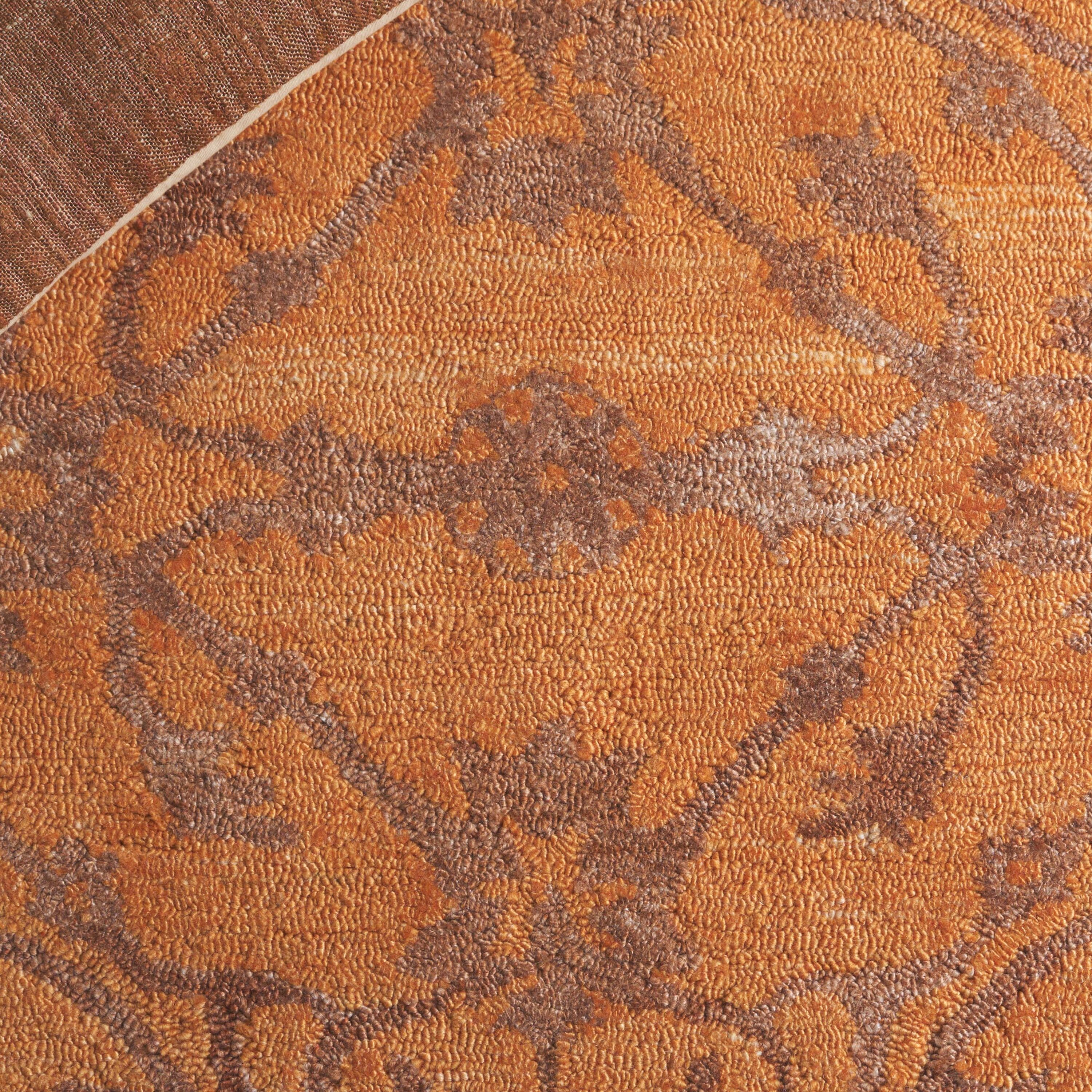 Safavieh AN401P-4 rugs - View #4