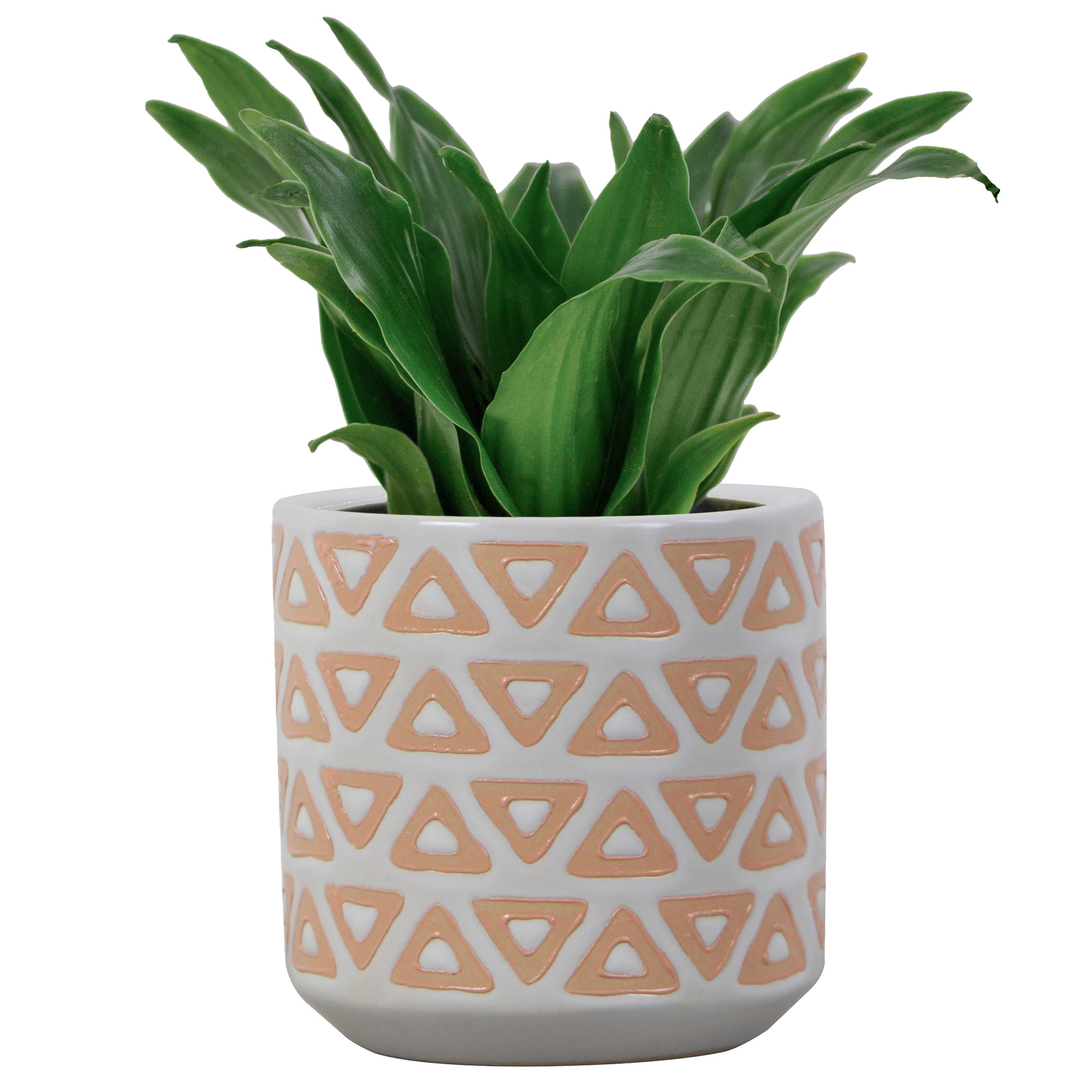 allen + roth LUCR02005N-03P Planter-Window-Box - View #2