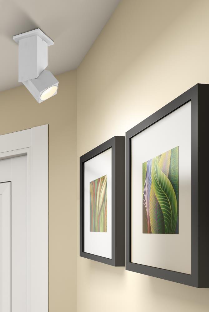 Access Lighting 50011LEDD-WH/CLR flushmounts - View #2