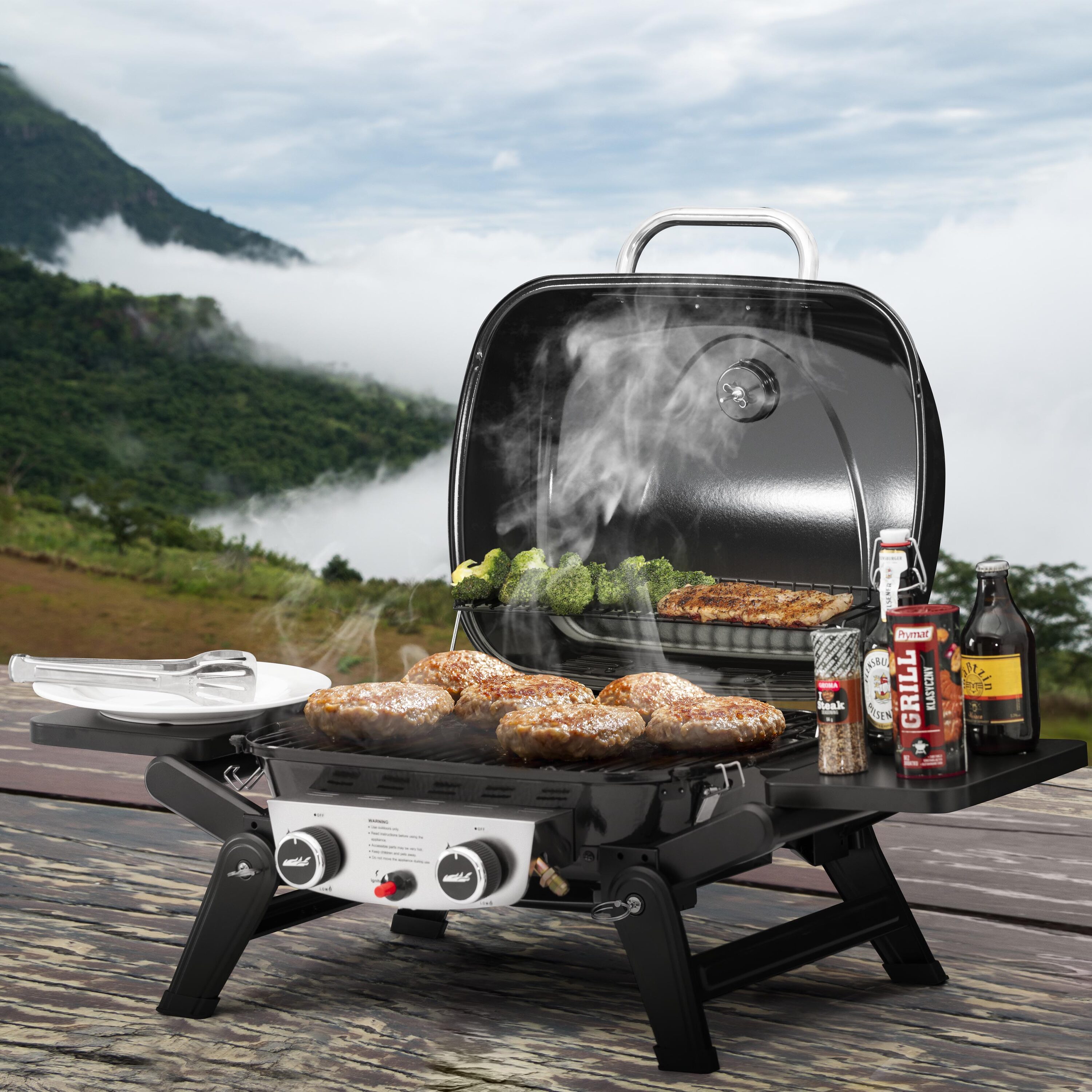 2 Burner Tabletop Gas Grill Portable Grills at Lowes