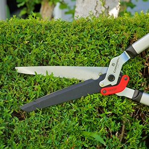 Corona 9-in Standard Hedge Shears HS 4244D at Lowes.com