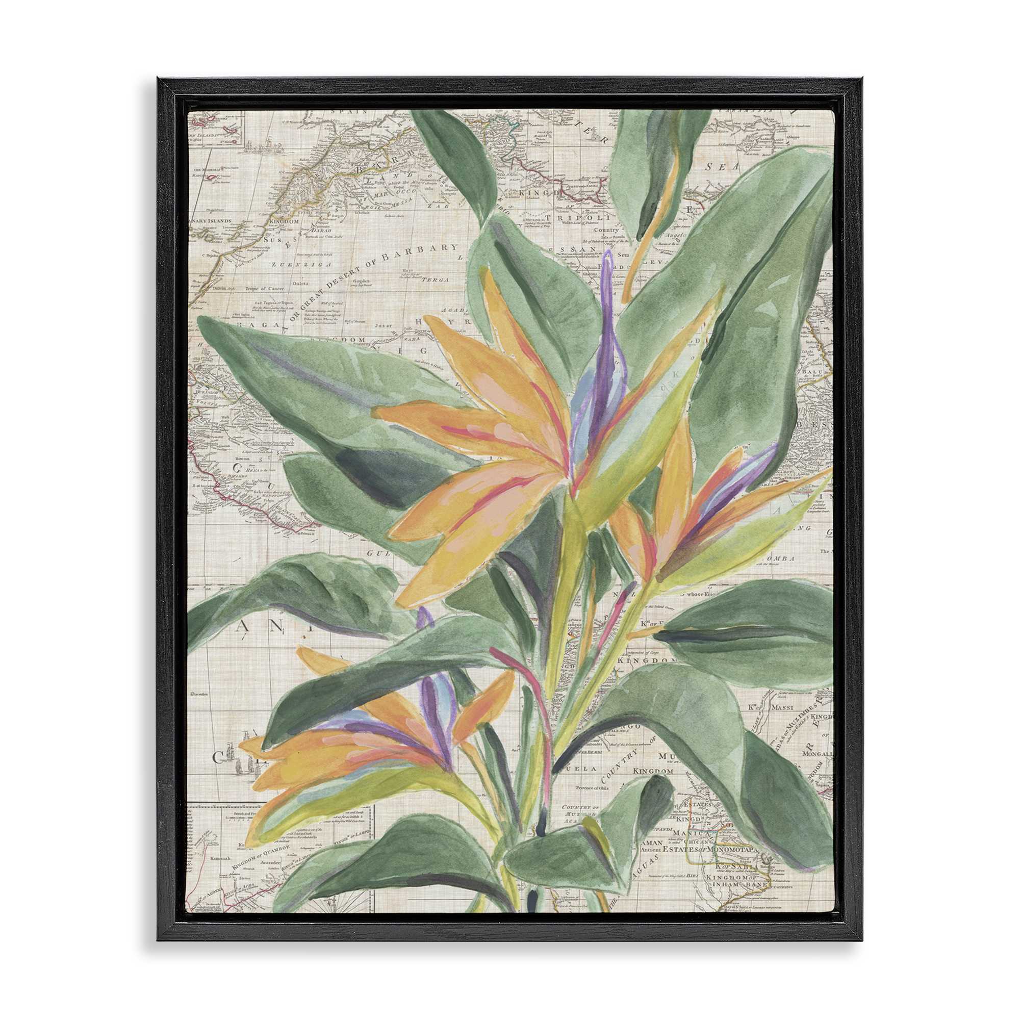 Stupell Industries BS-388-FFB-16X20 Tropical Flower over Map Floating Frame design by June Erica Vess