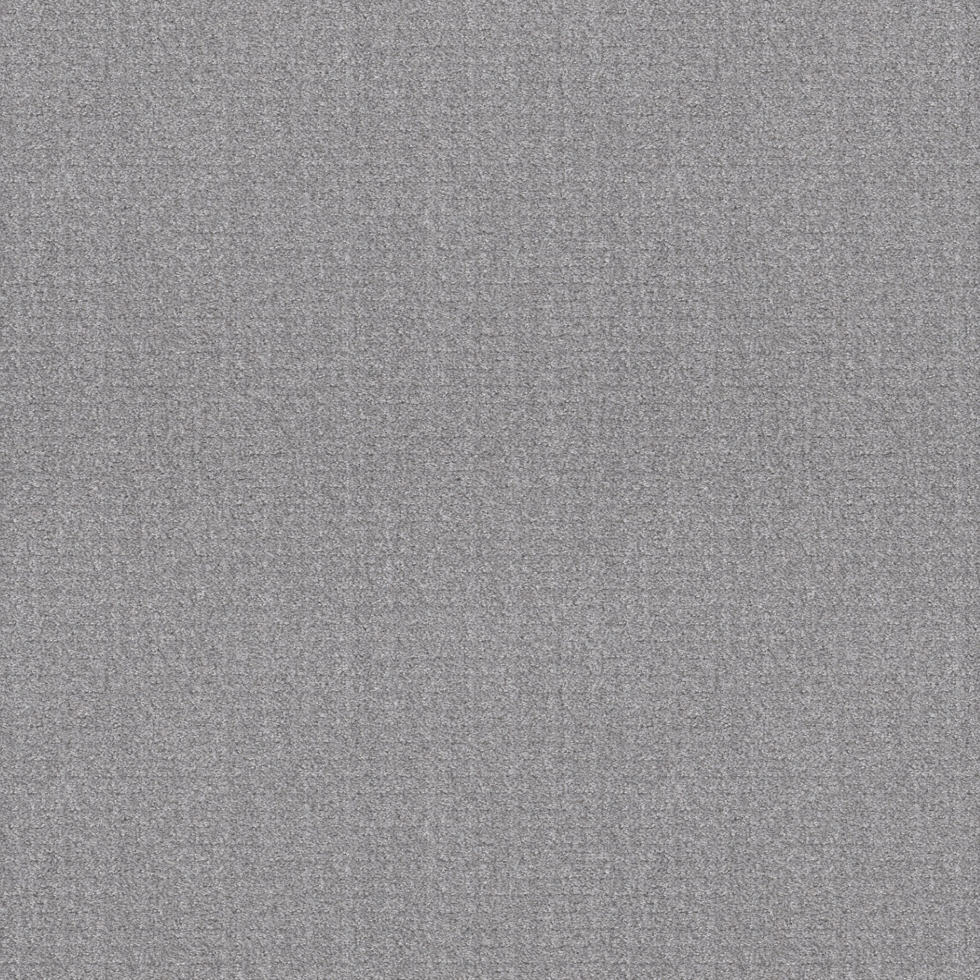 STAINMASTER 7L888 - 500 - SAMP (Sample) Scenic Route Silver Lining Gray 43.9-oz sq yard Polyester Pattern Indoor Carpet