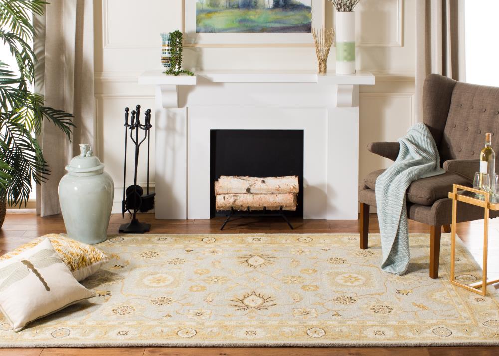 Safavieh AN556B-5 rugs - View #5
