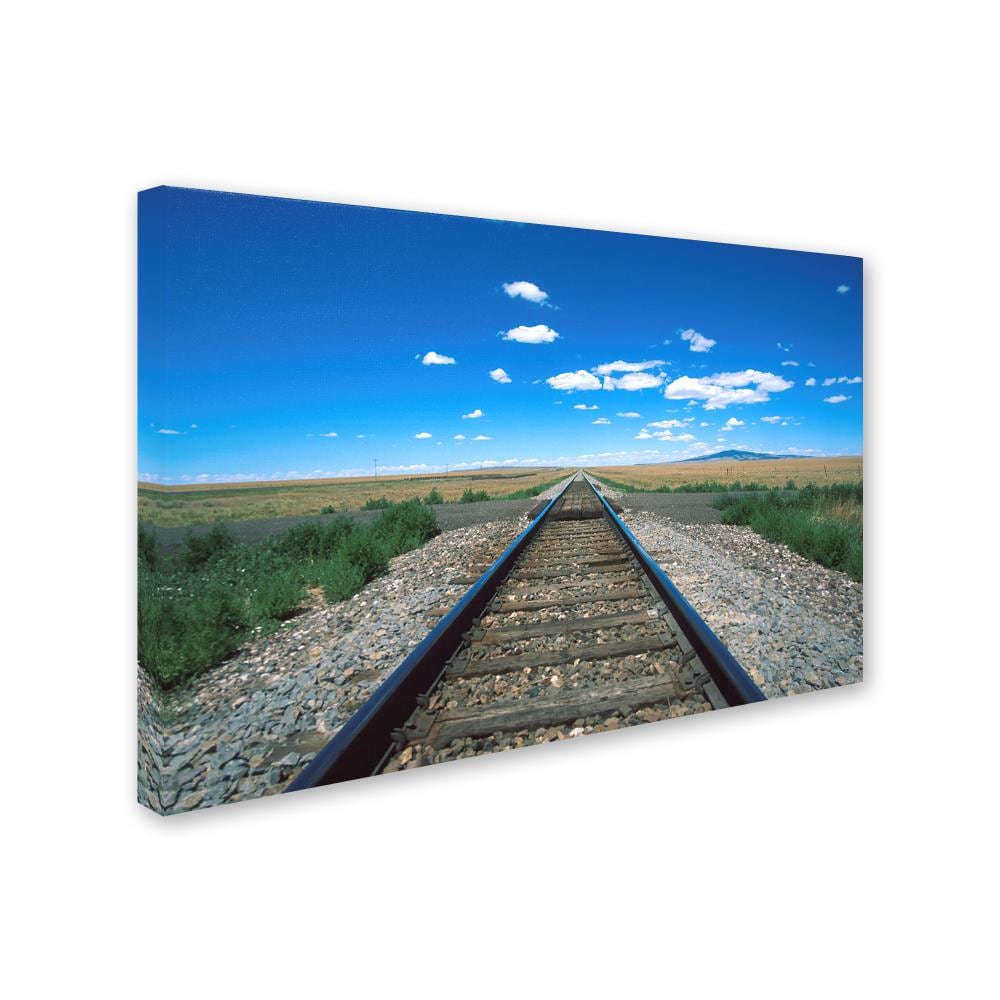 Trademark Fine Art ALI12424-C2232GG Wall-Art - View #3