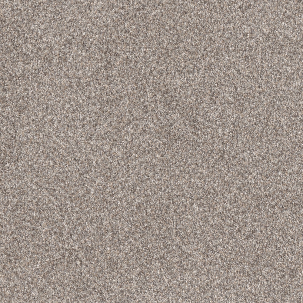 STAINMASTER L3019-4620-1200-AB Blended Horizon I Pewter Gray 60-oz sq yard Solution-dyed polyester Textured Indoor Carpet