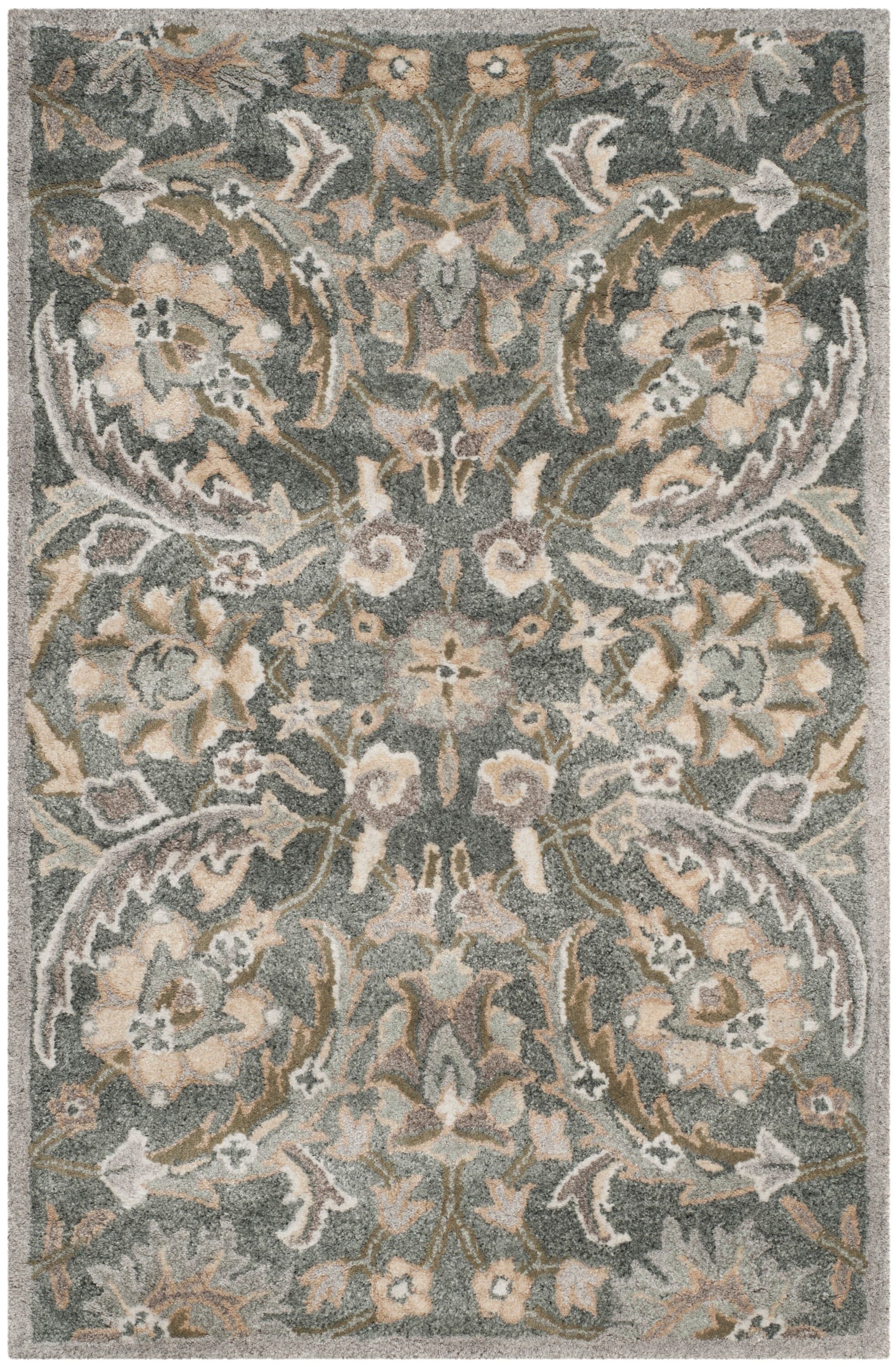 Safavieh BEL923B-24 rugs - View #2