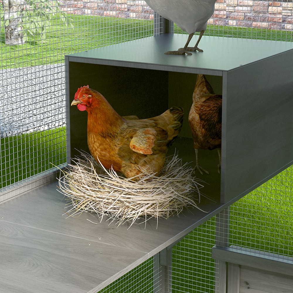 Homsee C-KF150158-05-AB Chicken-Coops-Rabbit-Hutches - View #17