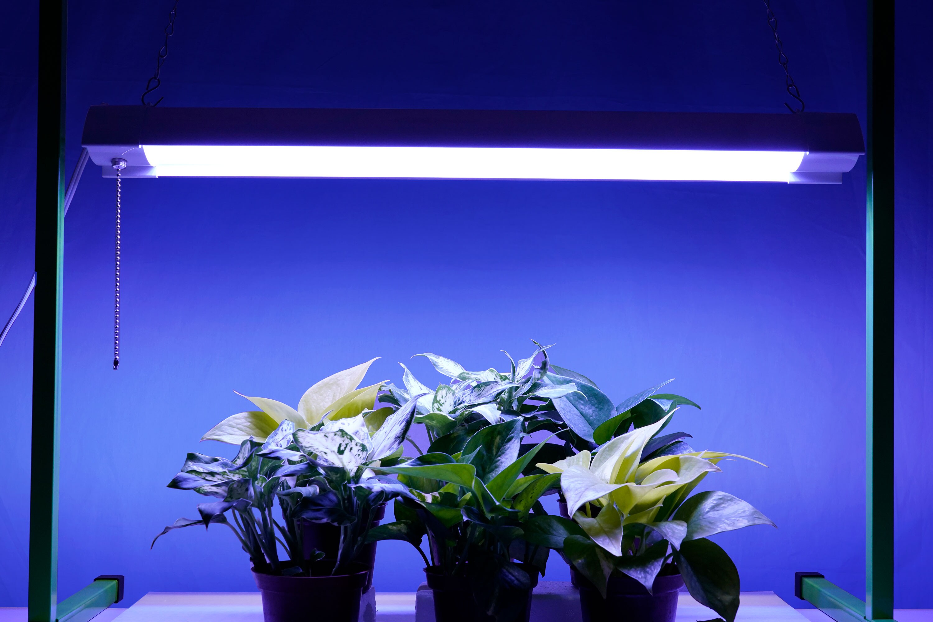 Utilitech 2.98 in 1 Light White 24 Watt Selectable Spectrum LED Strip Grow Light Z DW B21 GRSPL at Lowes