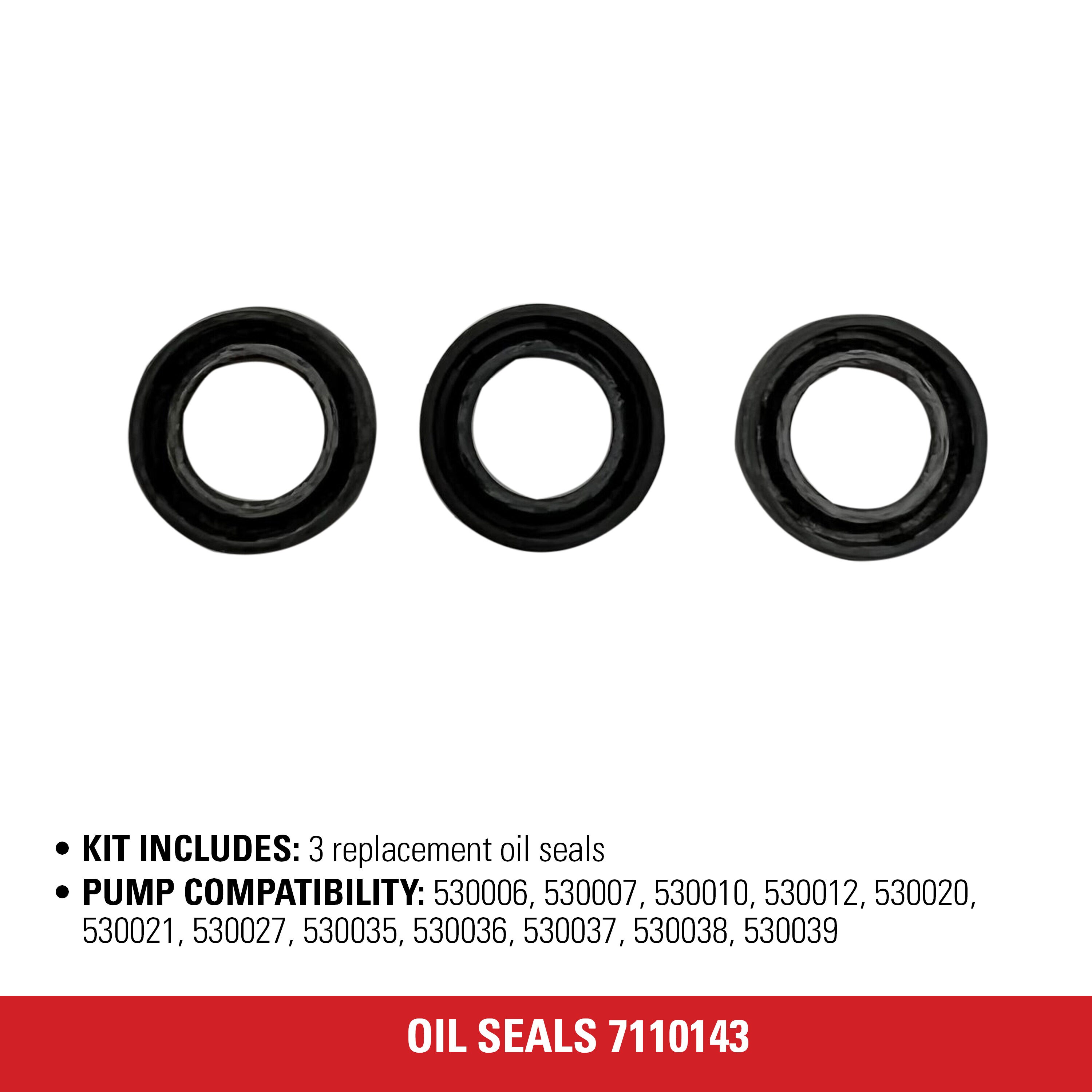 SIMPSON 7106731 Pressure-Washer-Parts - View #3