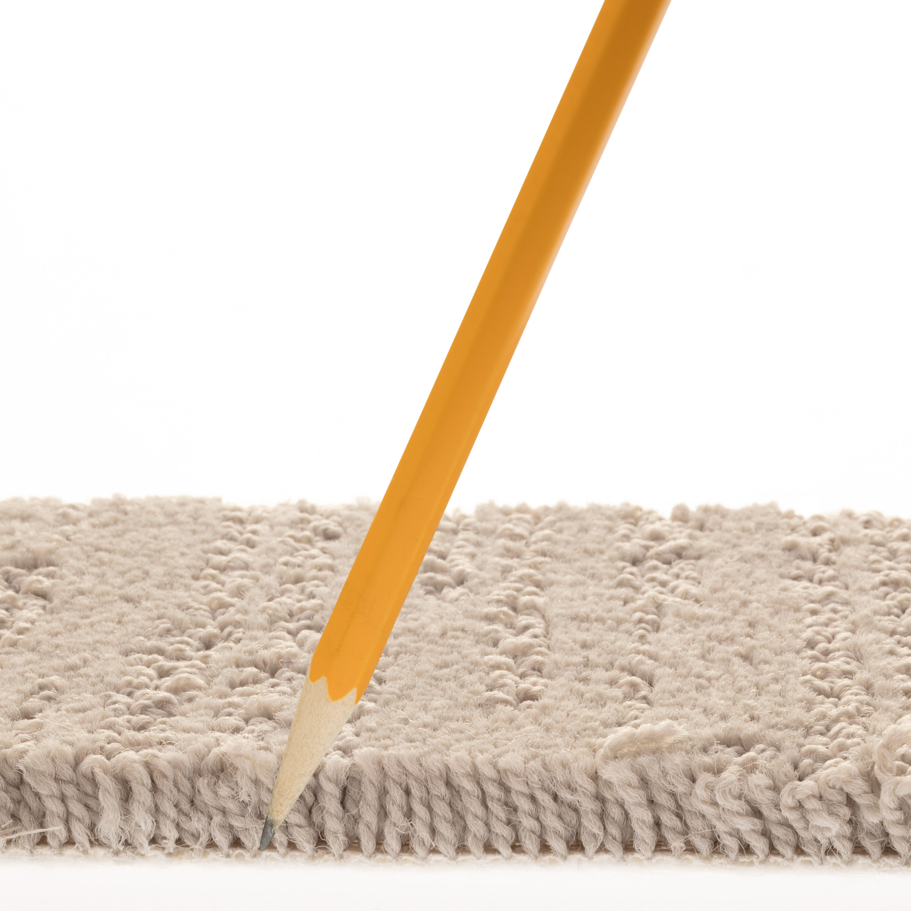 STAINMASTER PetProtect 7L853 - 502 - SAMP Carpet-Samples - View #7