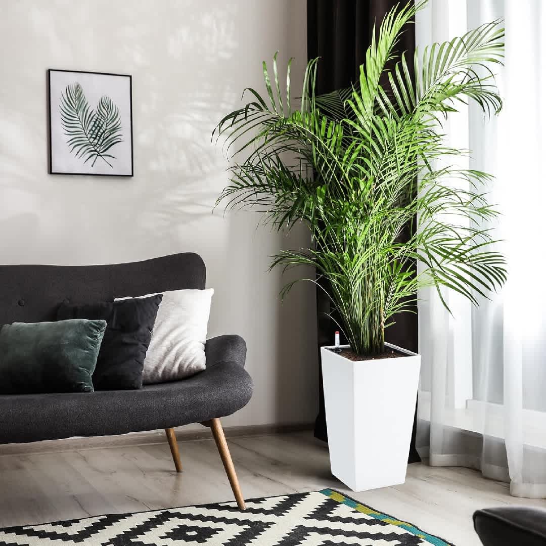 Qeetex KL-PHO-11GDMSLQ Planter-Window-Box - View #2