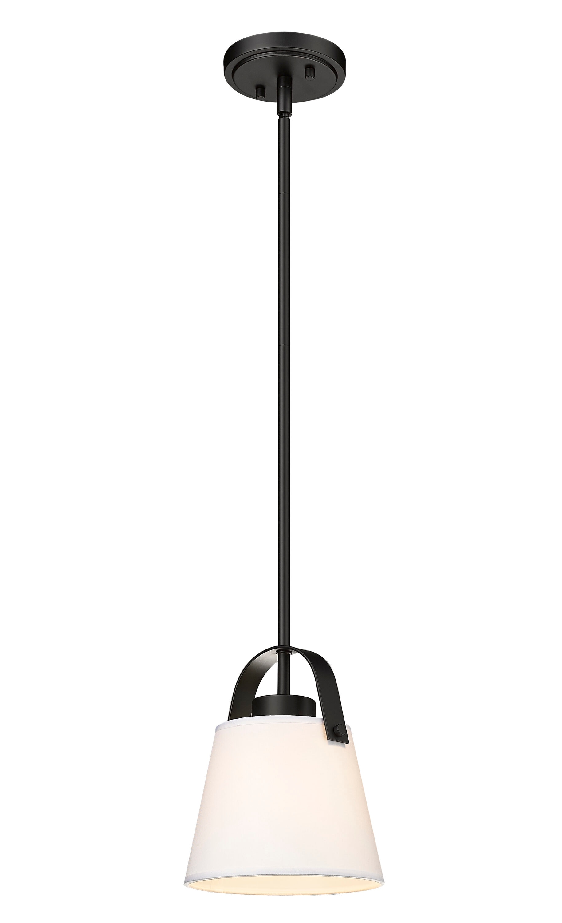 Z-Lite 743P8-MB Pendant-Lights - View #5