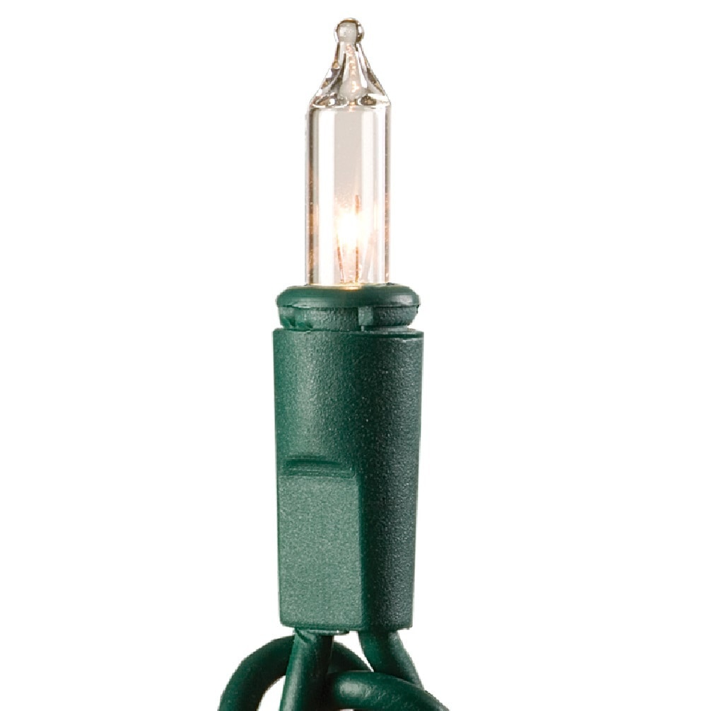 Holiday Living 858818-LIGHT String lights for item 6295131