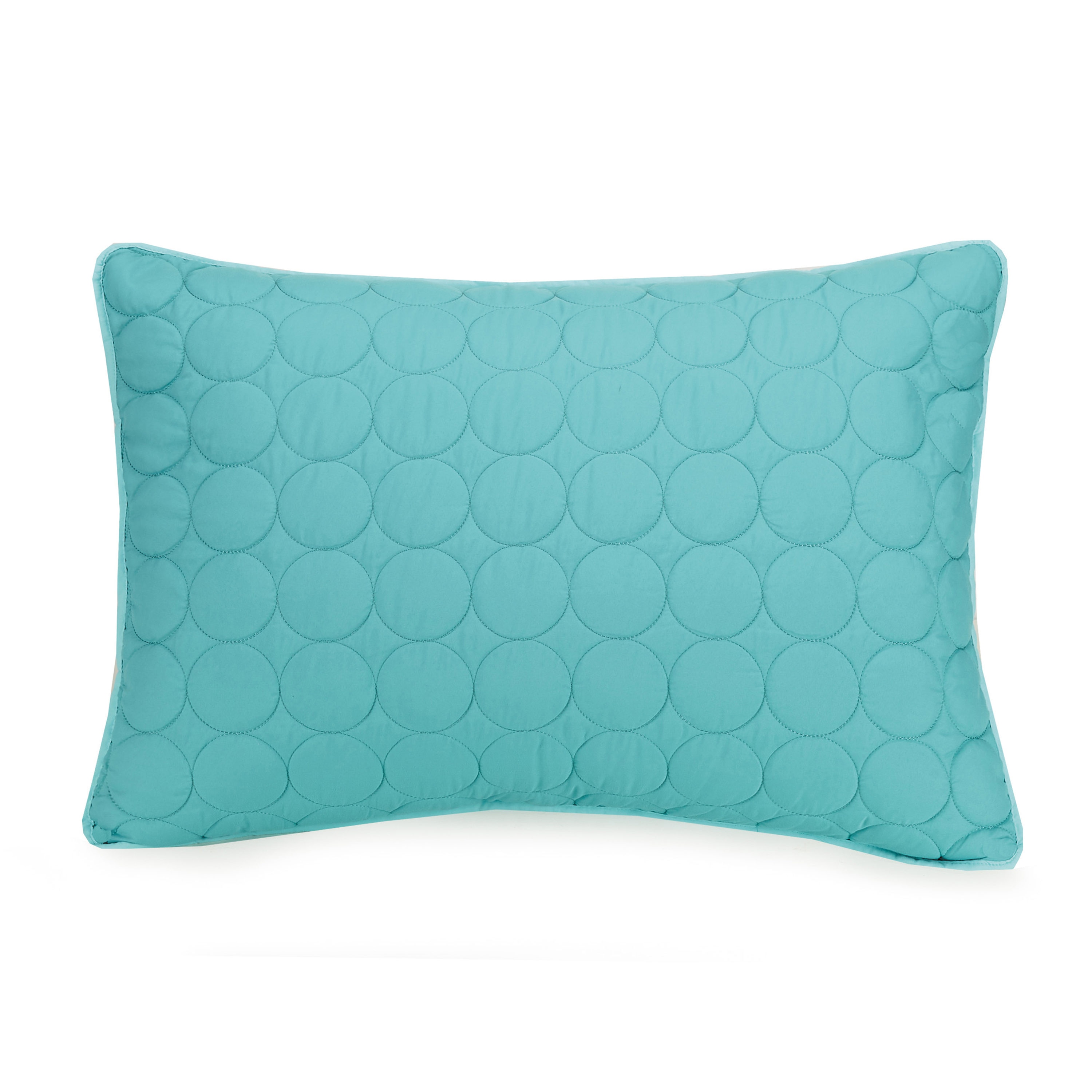 Aqua Blue Twin Reversible Microfiber Kids Quilt Set