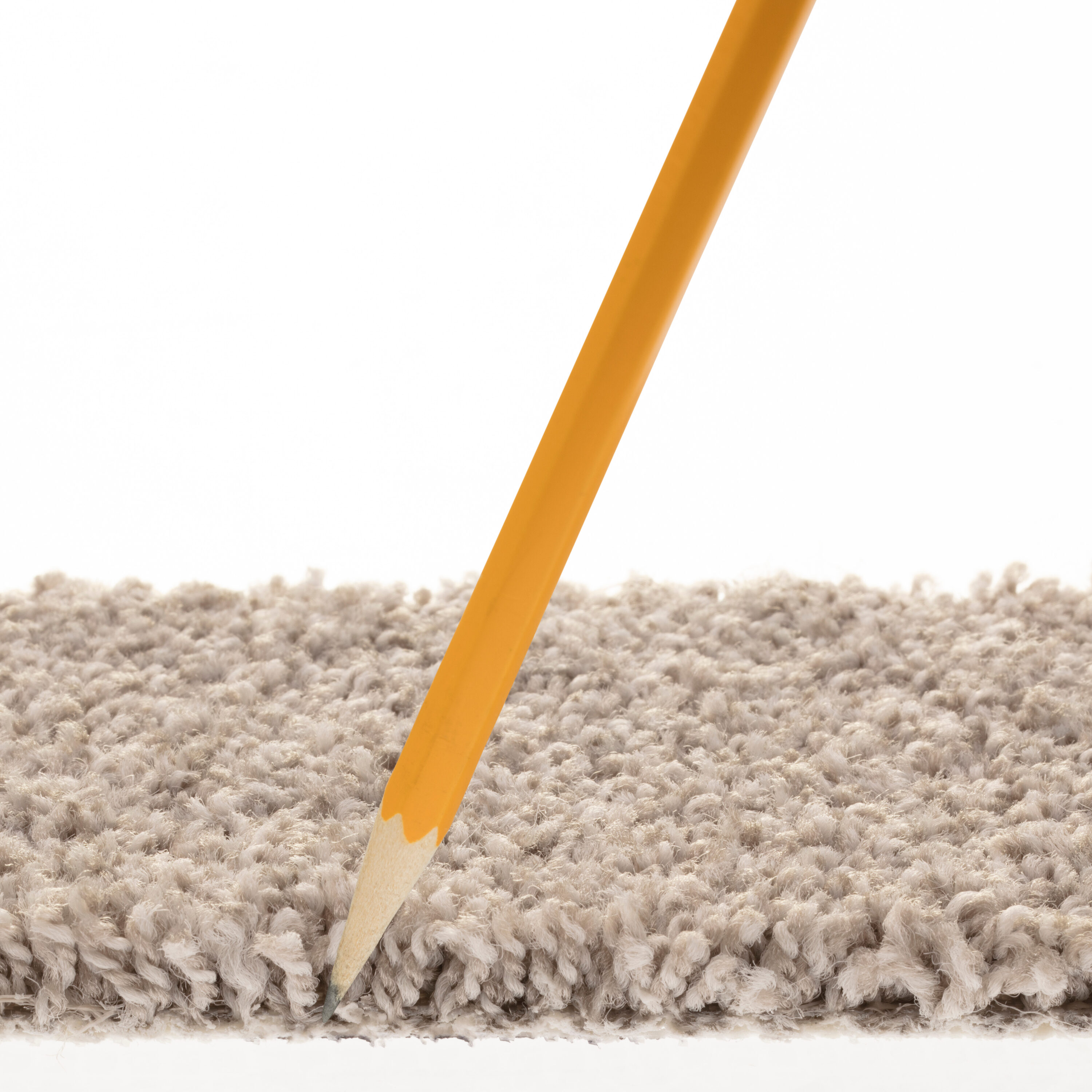 STAINMASTER PetProtect 7L907 - 504 - SAMP Carpet-Samples - View #7