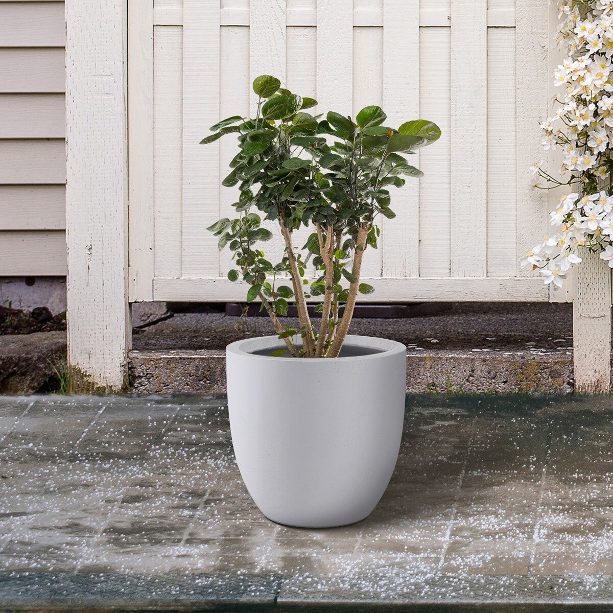 KANTE QXC0152C-C80011 Planter-Window-Box - View #3