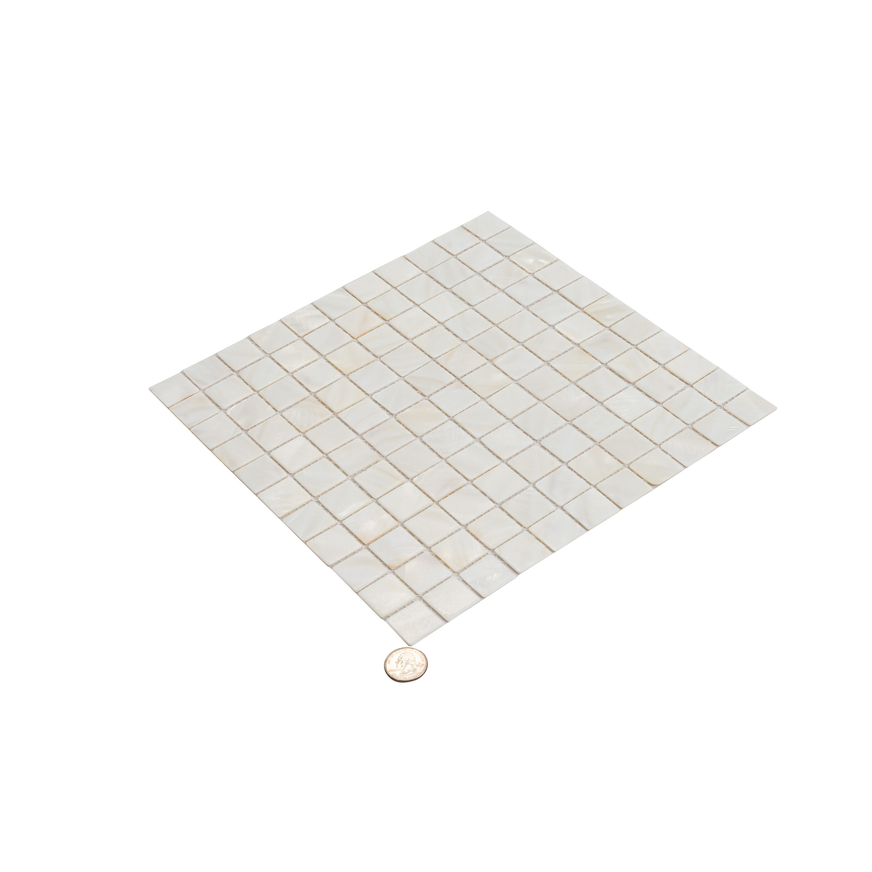 Apollo Tile APLSMA88008ASAMPLE Tile-Samples - View #5
