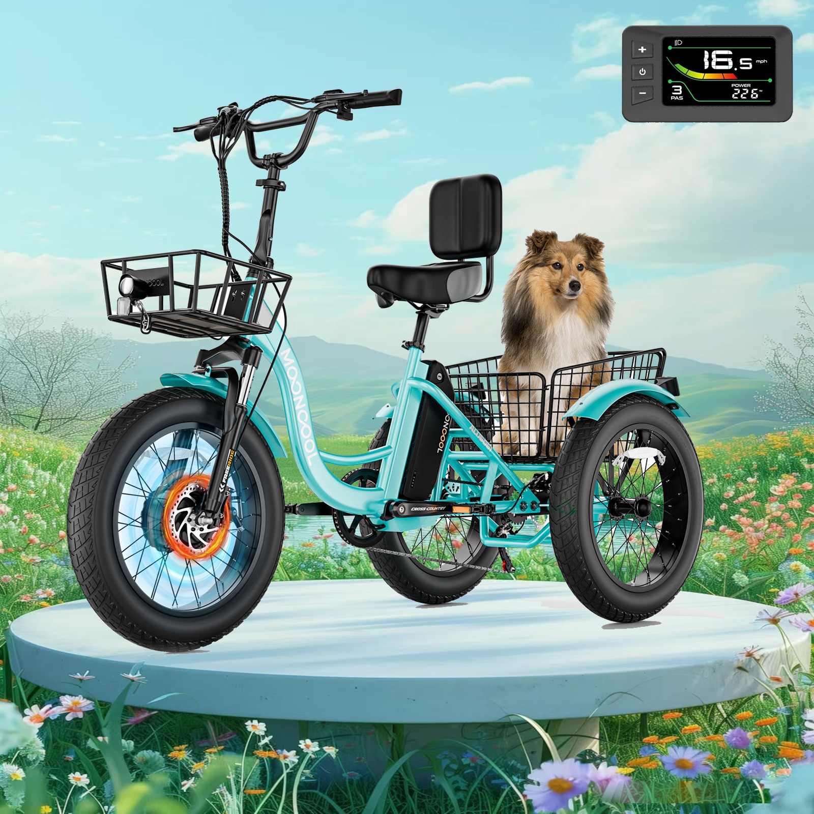 Esazn ZT-E20-QL-TLYU 20-in Adult unisex E-bike