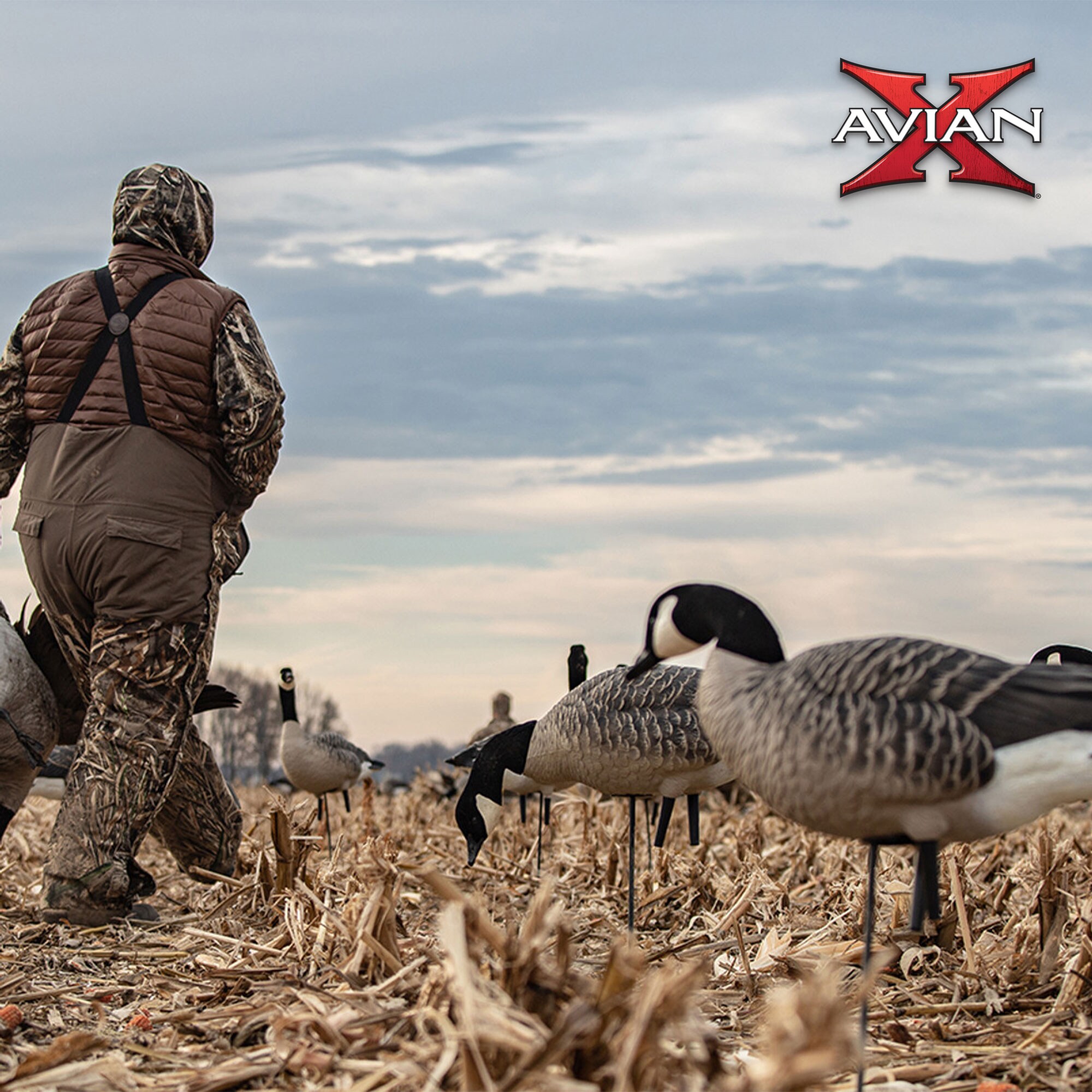 Avian X 3 X AVX-AVX9007 Hunting-Equipment - View #6