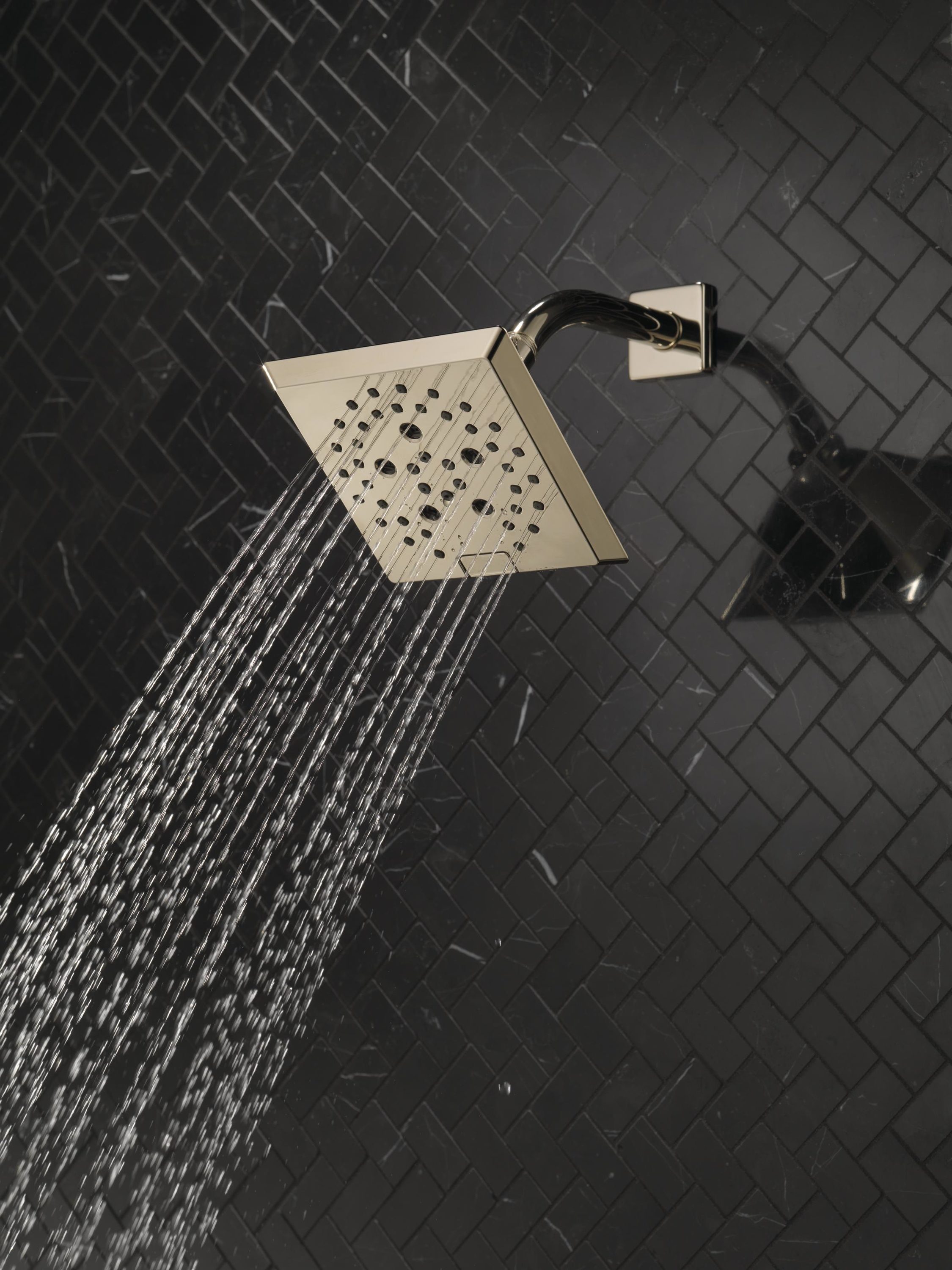 Delta 52664-PN Fixed-Showerhead - View #2