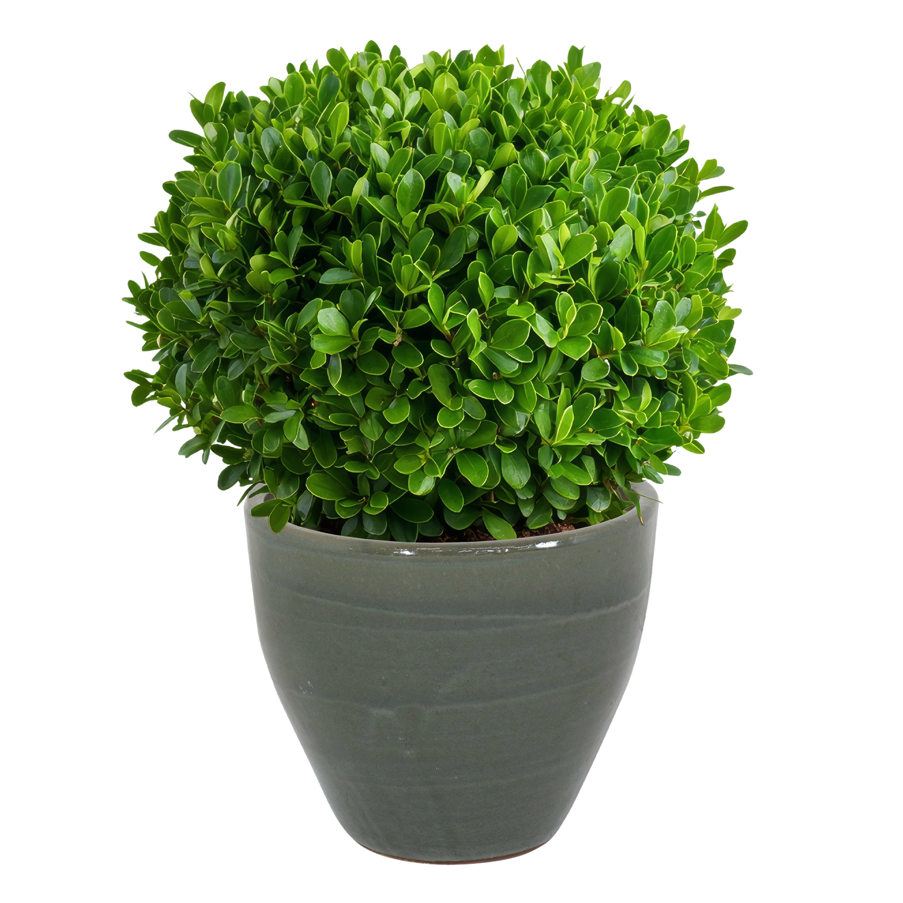 Sunnydaze Decor AP-077 Planter-Window-Box - View #11