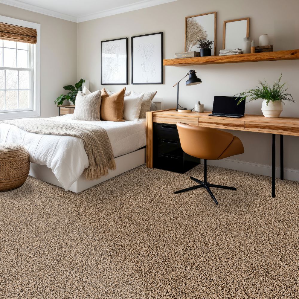 Style Selections SS048-L006-S0808 Carpet-Samples - View #5