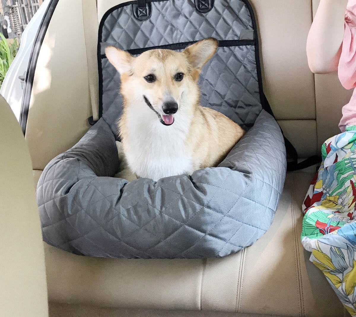 Large Gray Soft Sided Dog Carrier and Bed