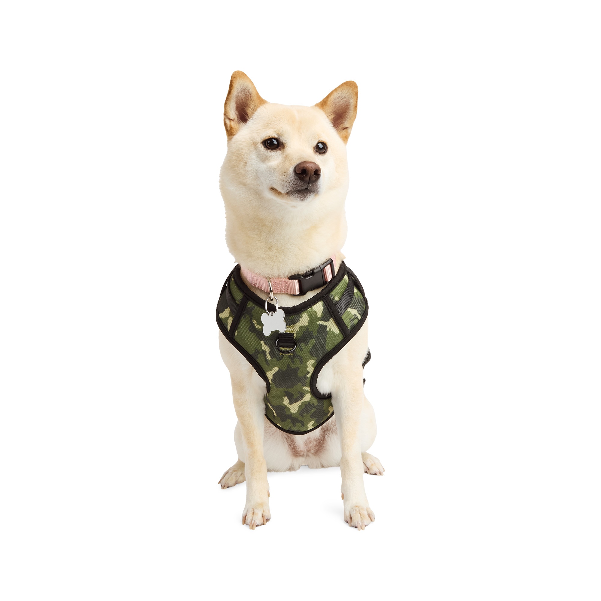 Youly 3877596 Dog-Collars-Harnesses - View #3