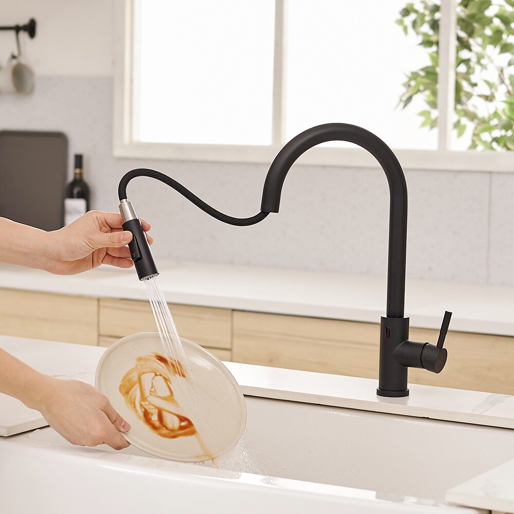 Fapully FA-B-1009B-IS Kitchen-Faucets - View #6