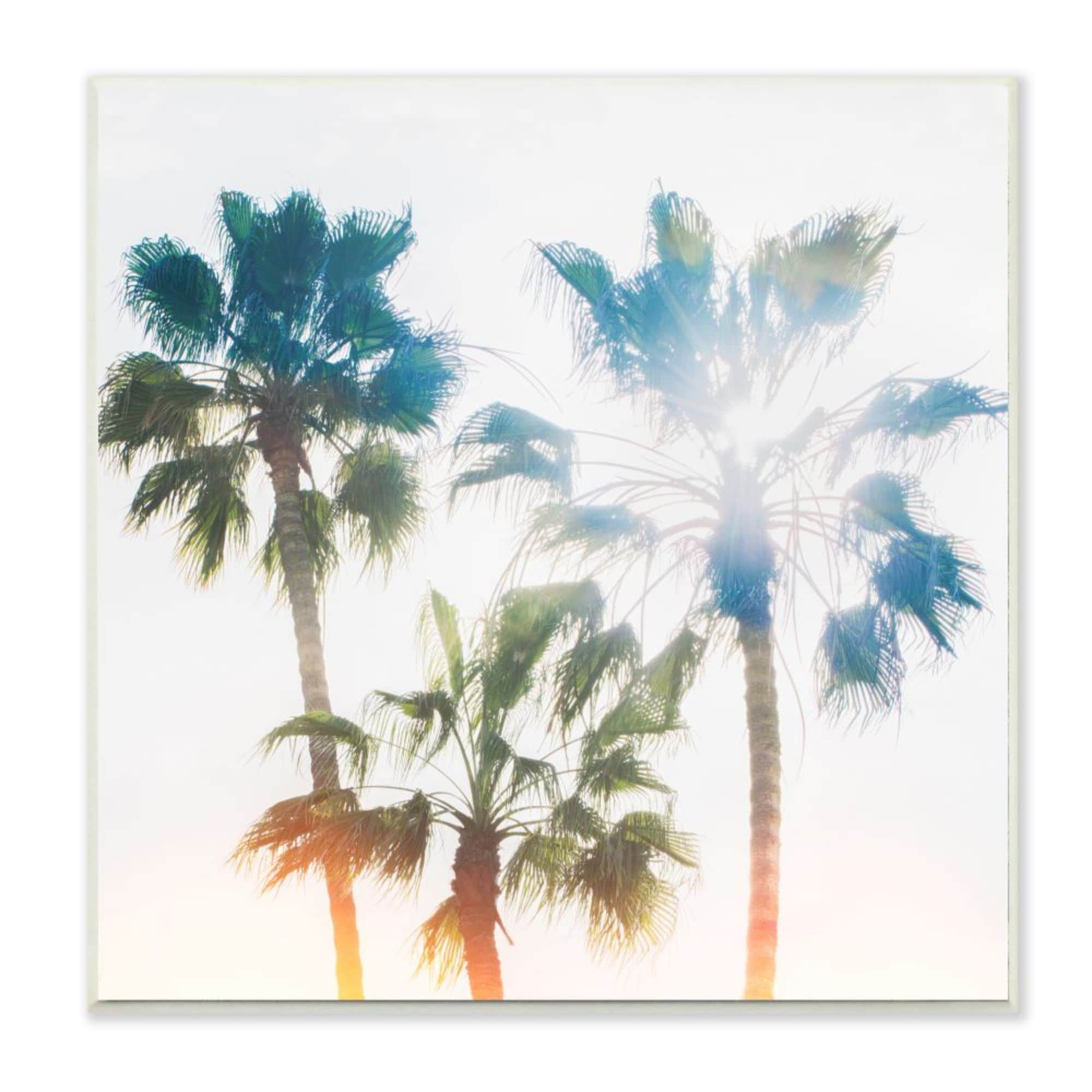 Stupell Industries Tropical Summer Haze Palm Trees with Sun Burst Ryan ...