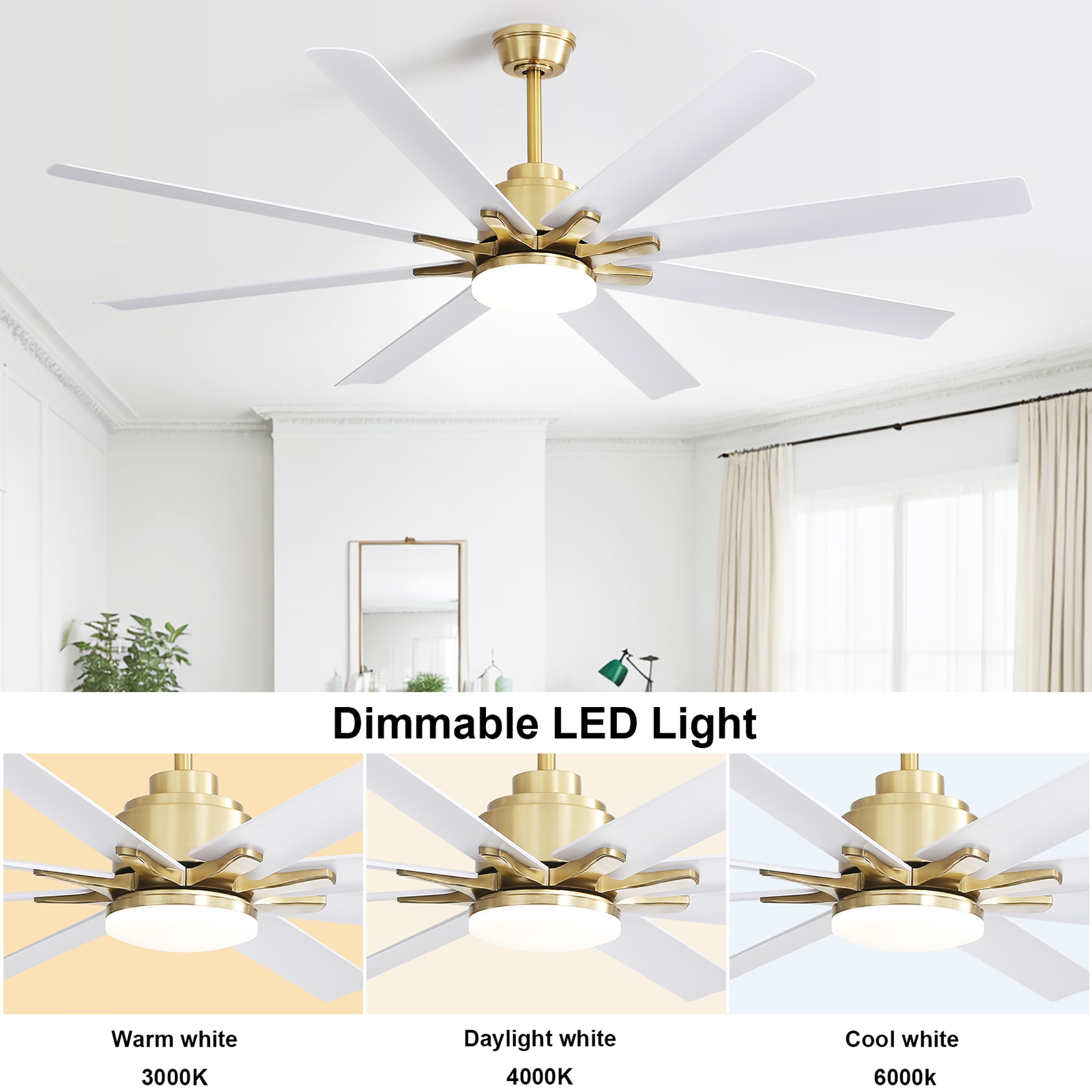 Fun Orange FUN25CF13 Ceiling-Fans - View #4