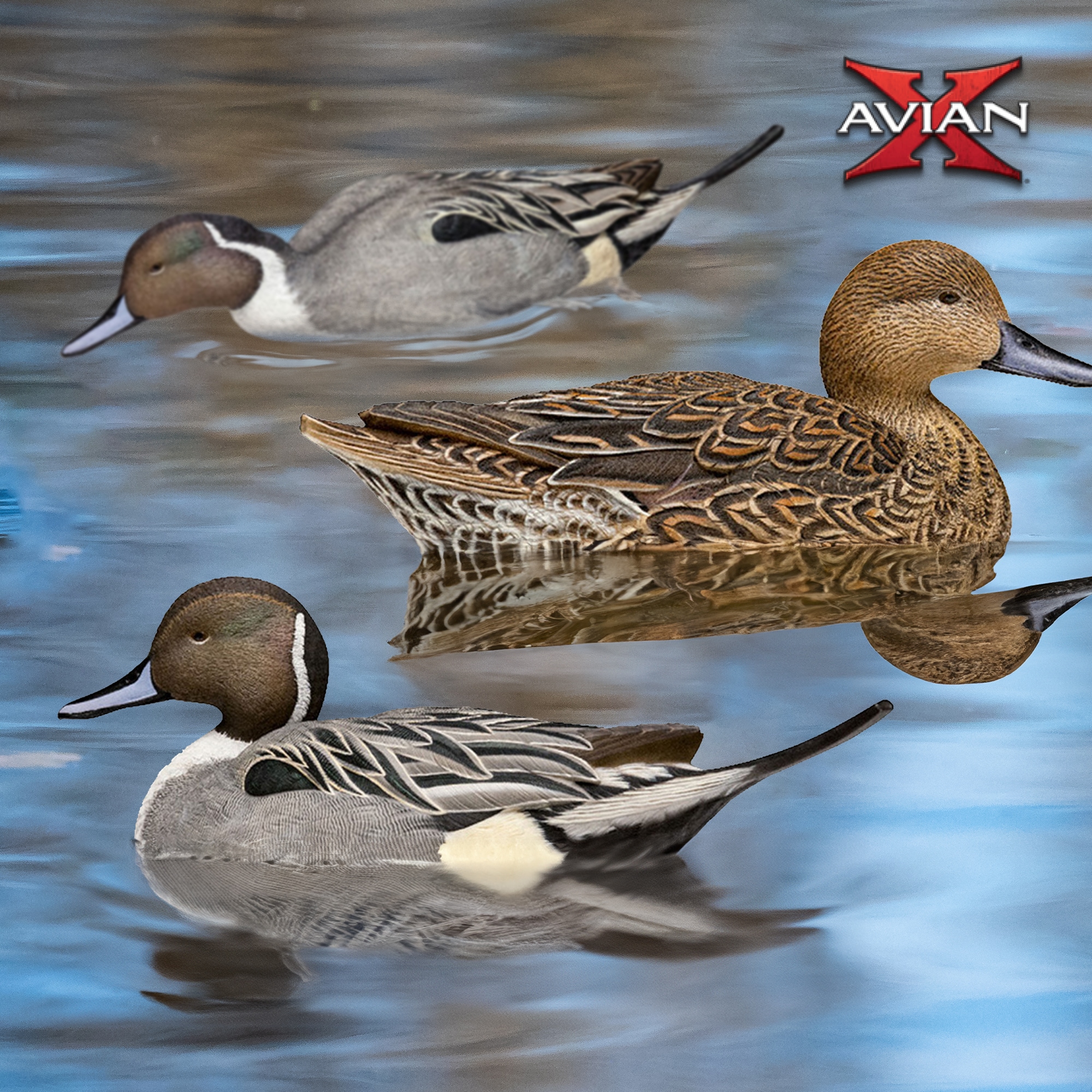  Avian X 399269 Hunting-Equipment - View #7