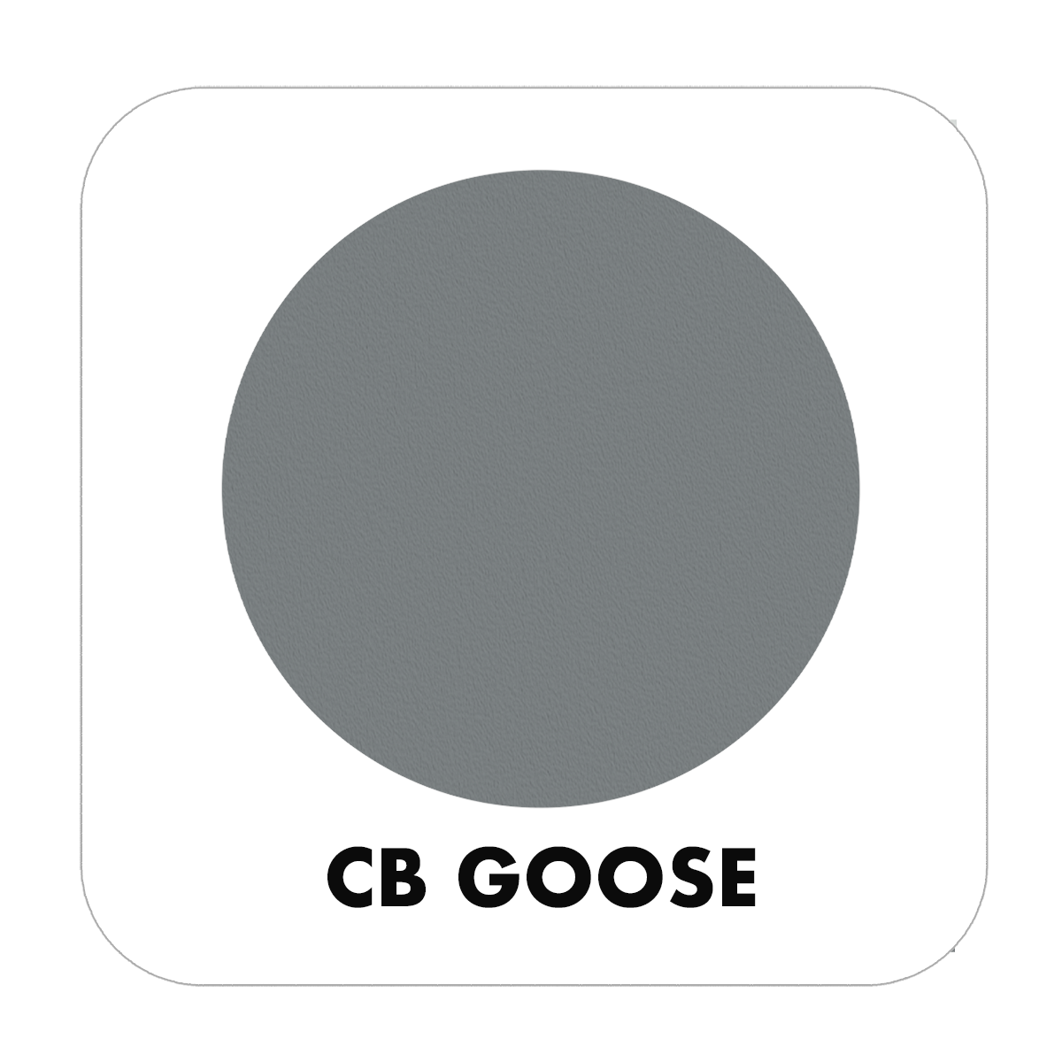 Color Baggage GOOSE-PIC-MAT-Q Cabinet-Furniture-Paint - View #2