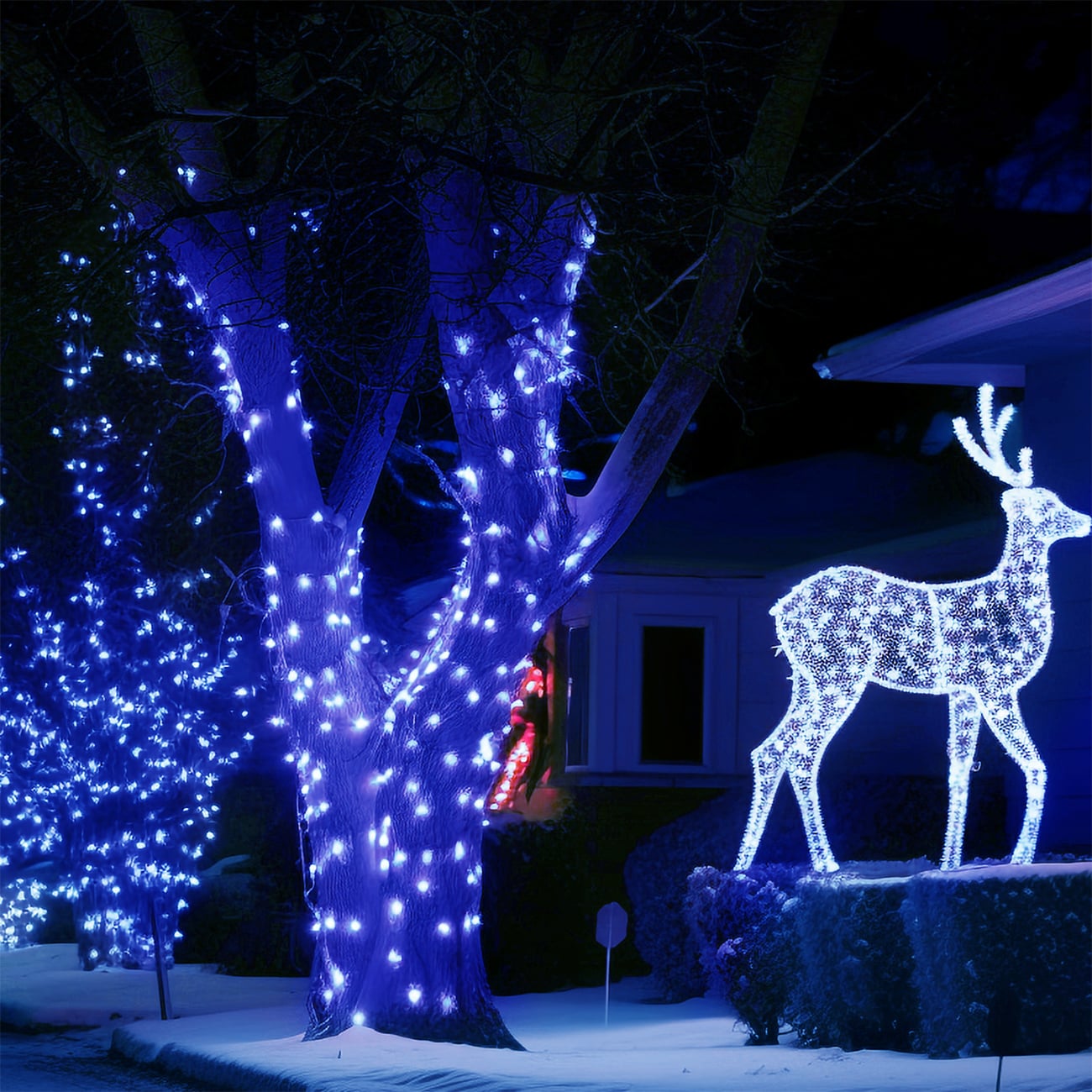 Ainfox WDPZ031BL Rope-Lights - View #2