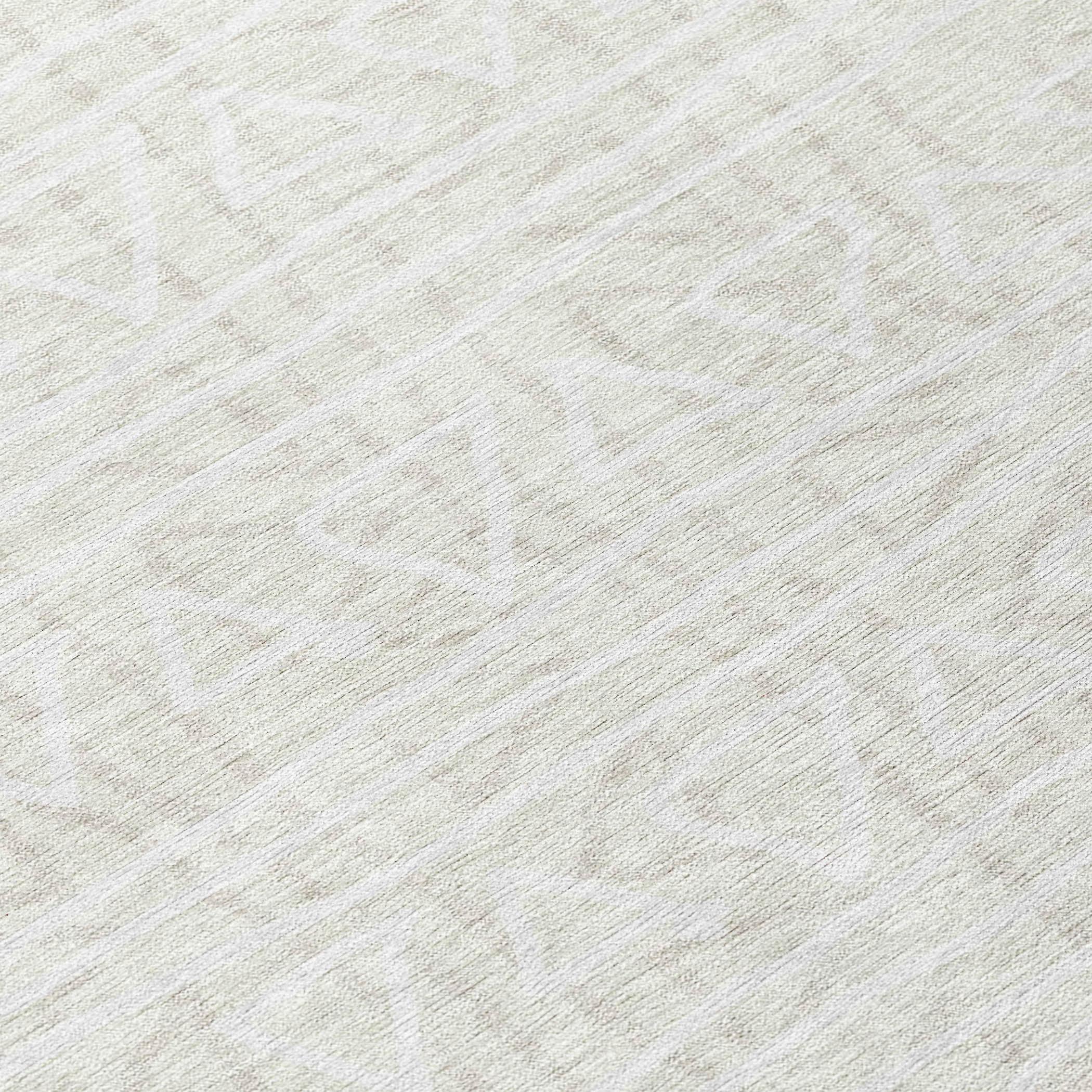 Addison Rugs ACN730IV10X14 rugs - View #3